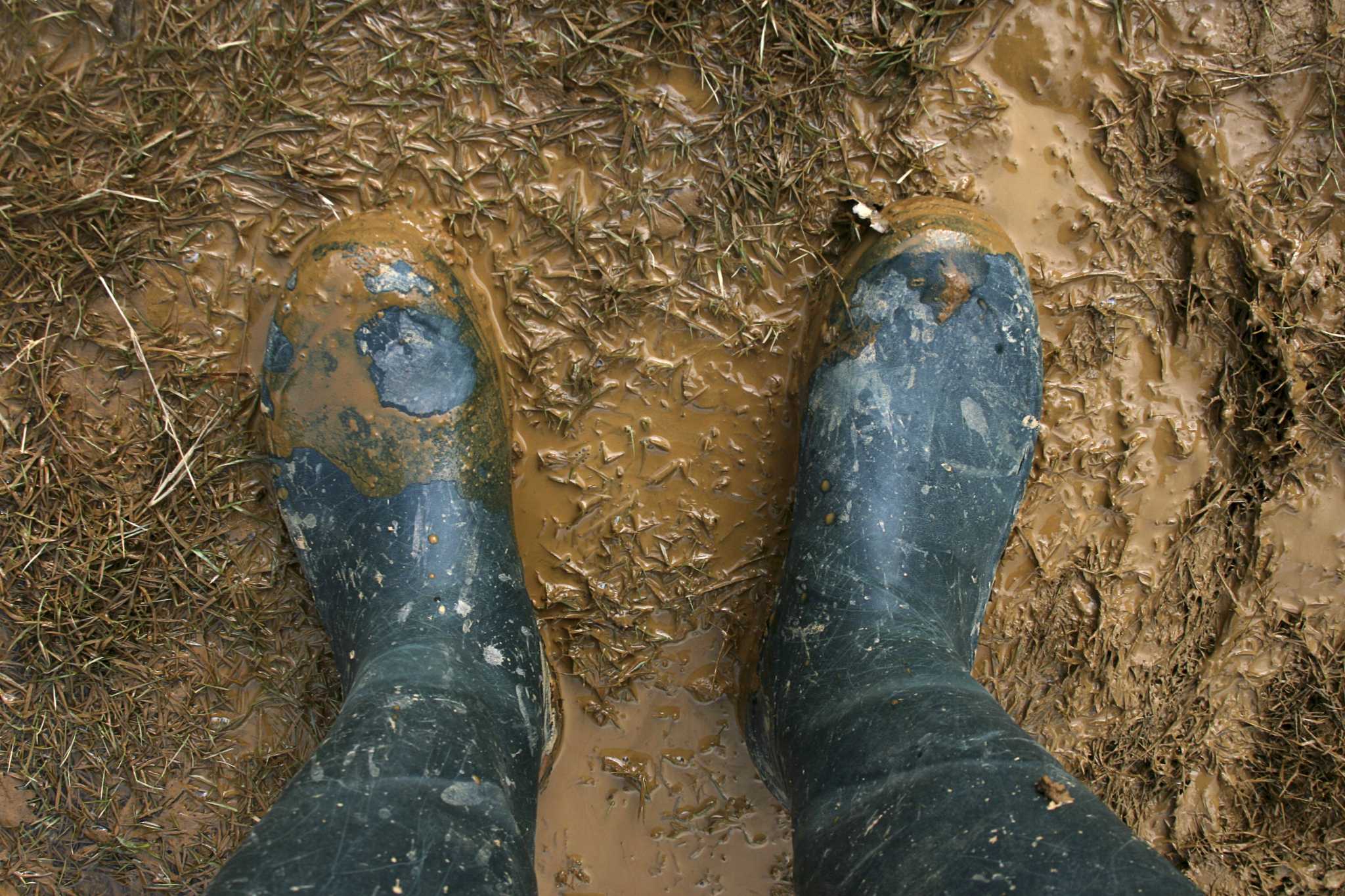 can-you-plant-vegetables-in-the-rain