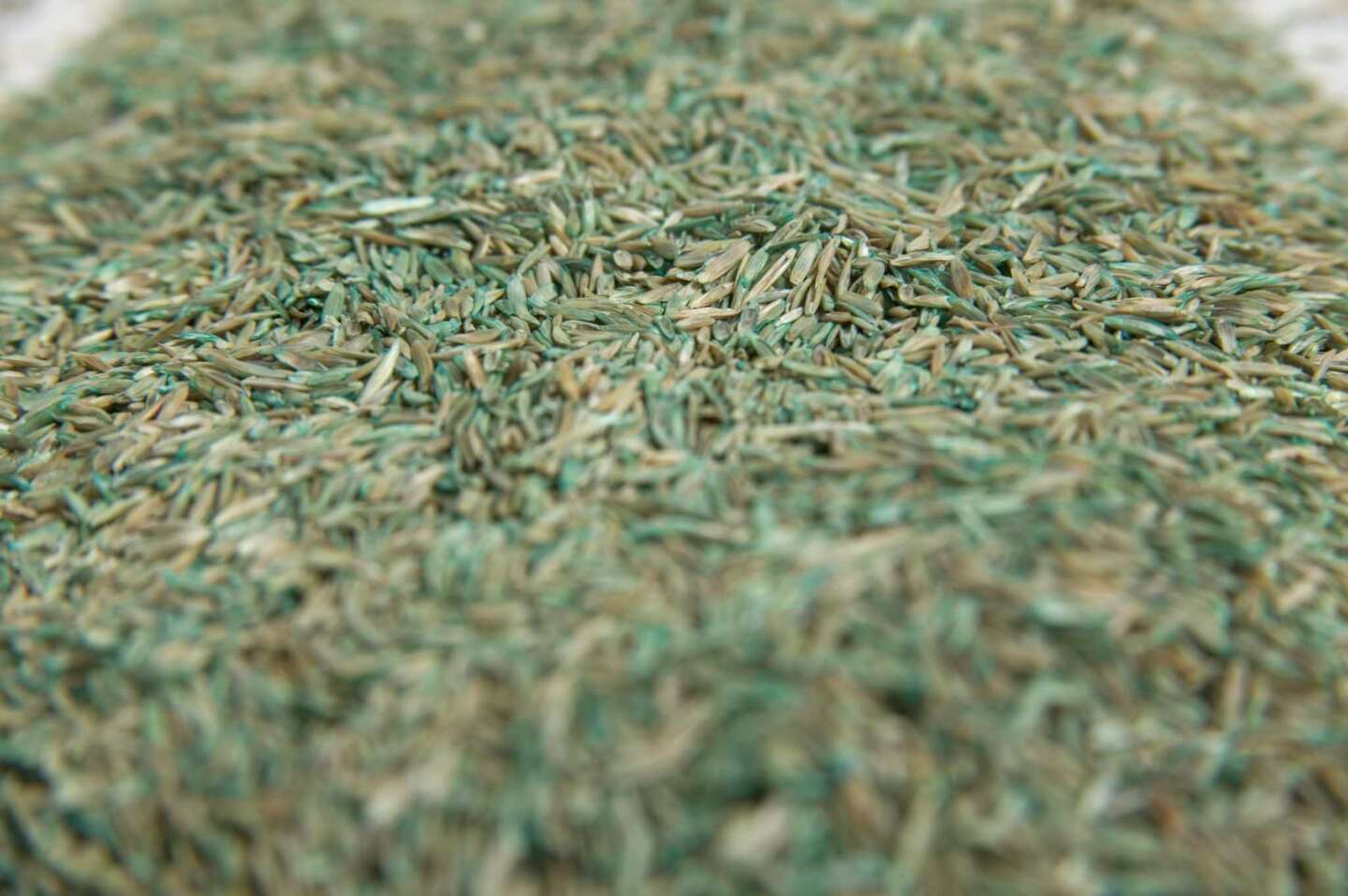 Can You Put Down Grass Seed After Treating With Trimec?