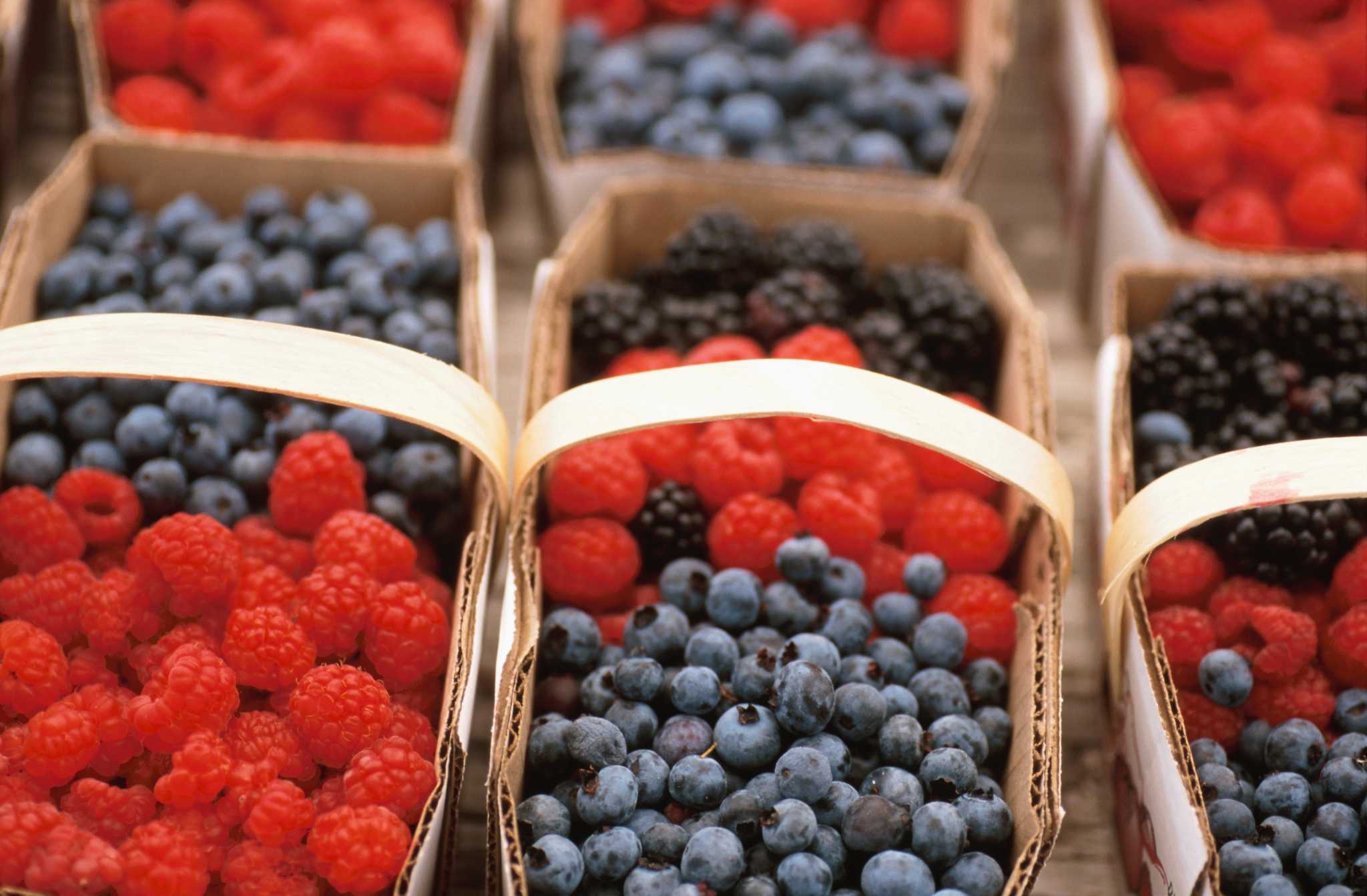 Can Raspberry Bushes Be Grown Near Blueberry Bushes?