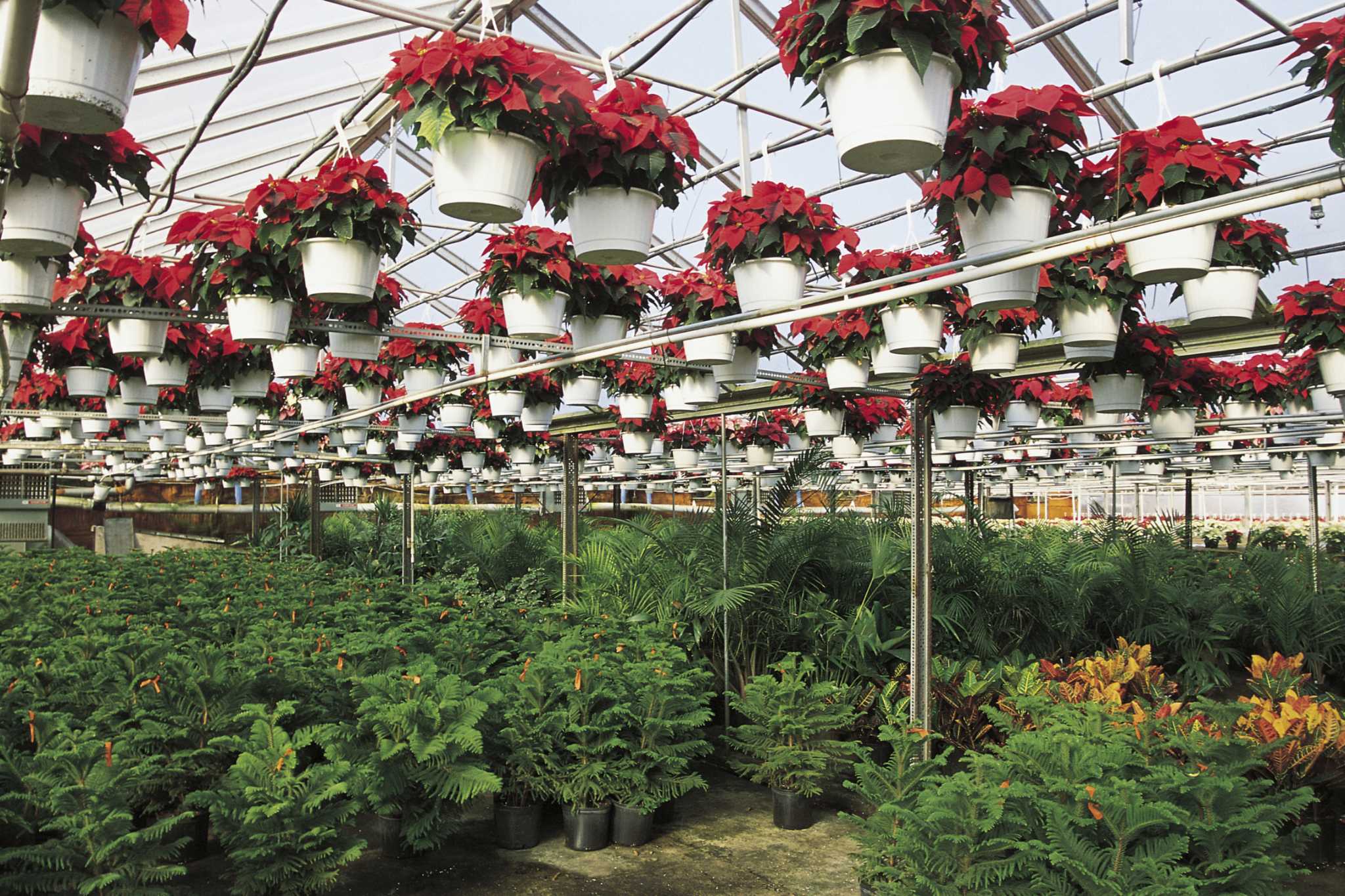 What Material Is Used To Shade A Greenhouse