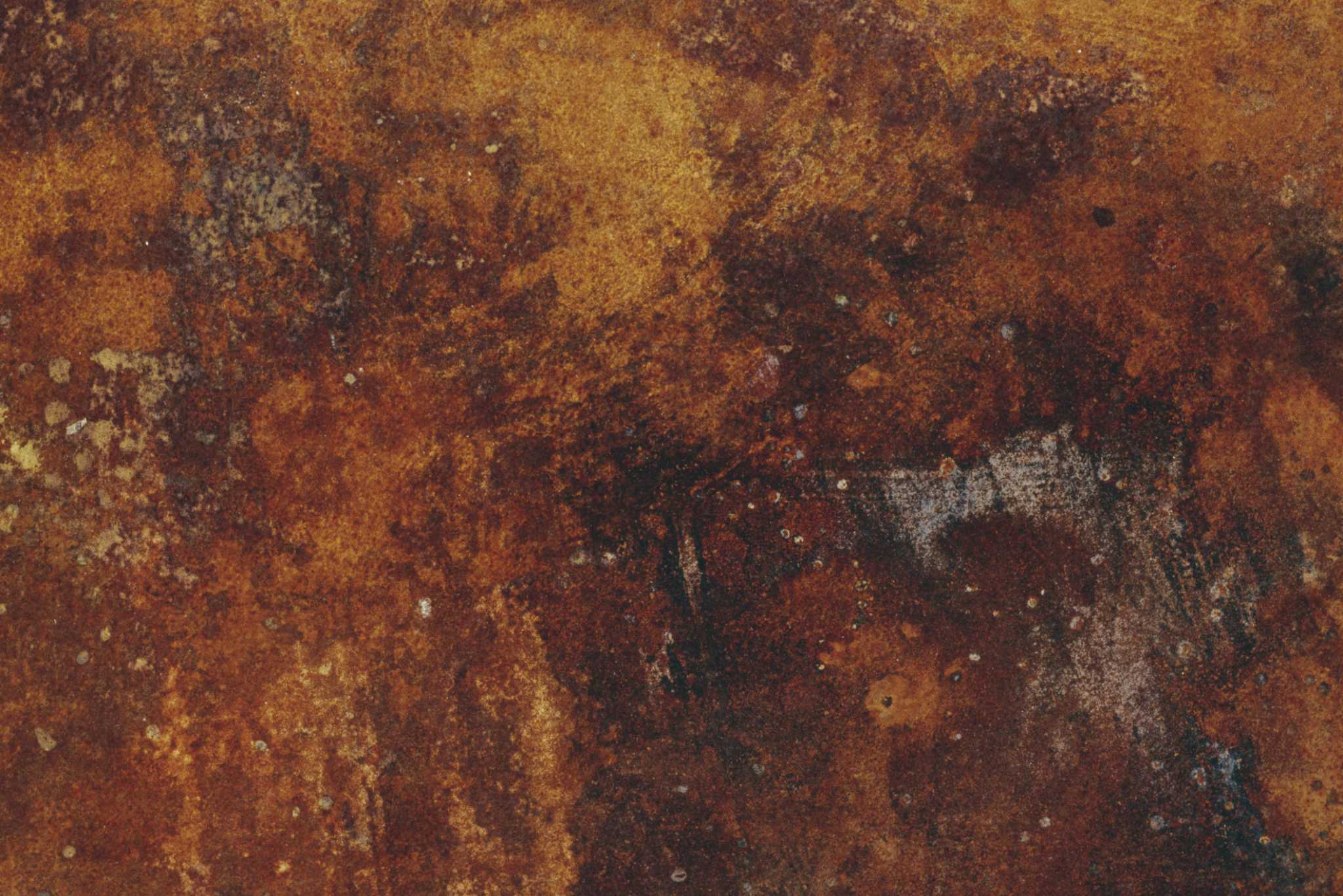 Can Rust in a Planter Harm Herbs?