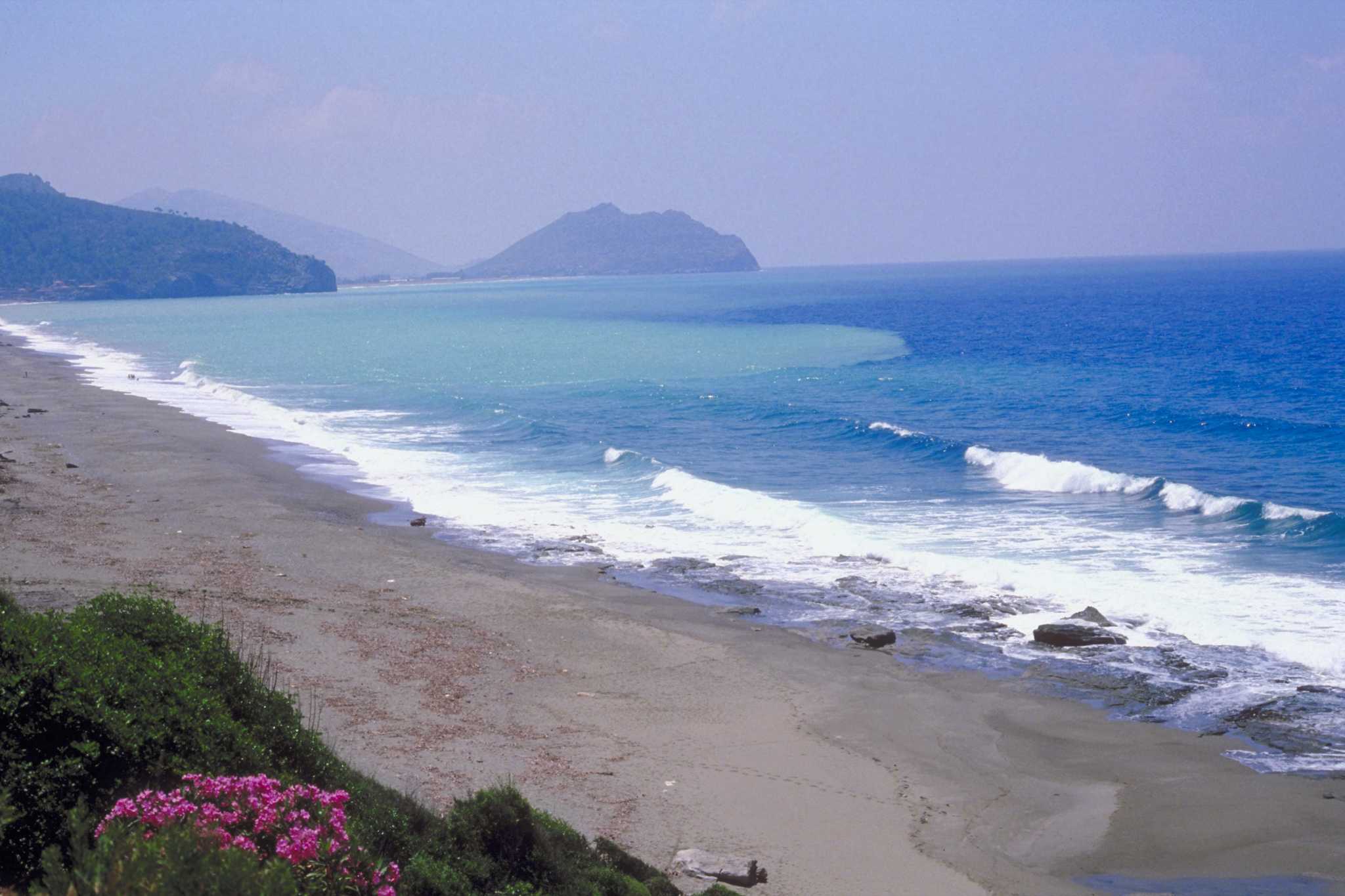 Groundcover Perennials for Poor Soil