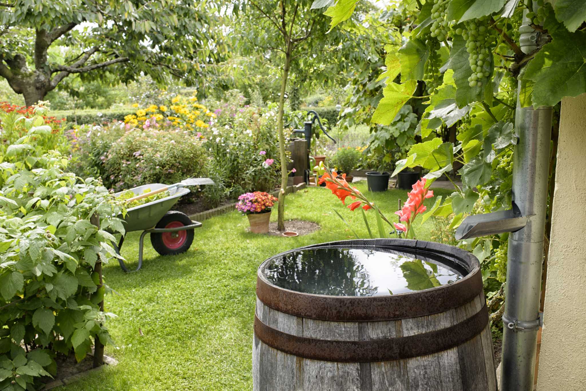 can-i-spray-roundup-after-rain