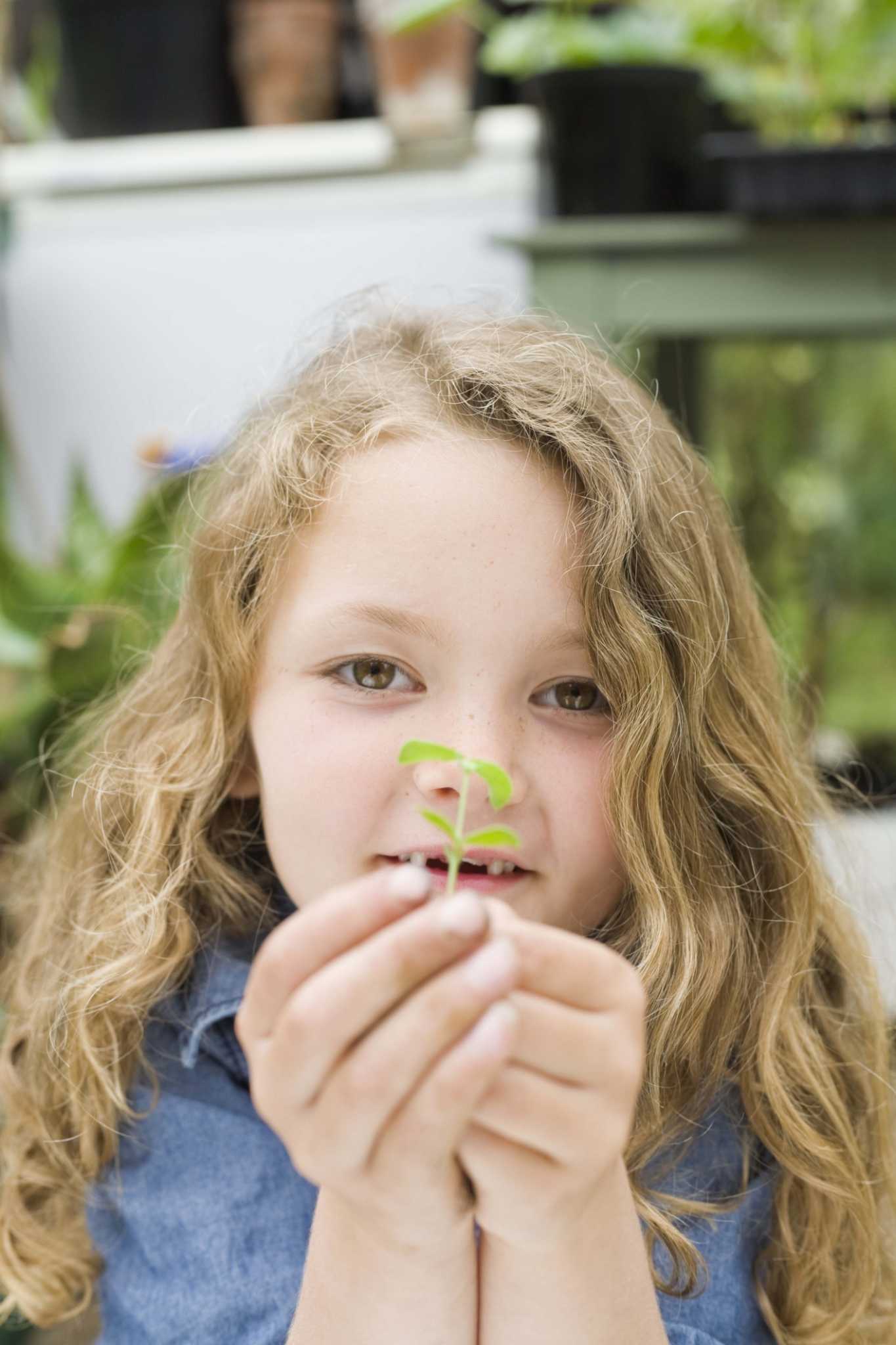 Can You Start Plants in Plastic Bags?