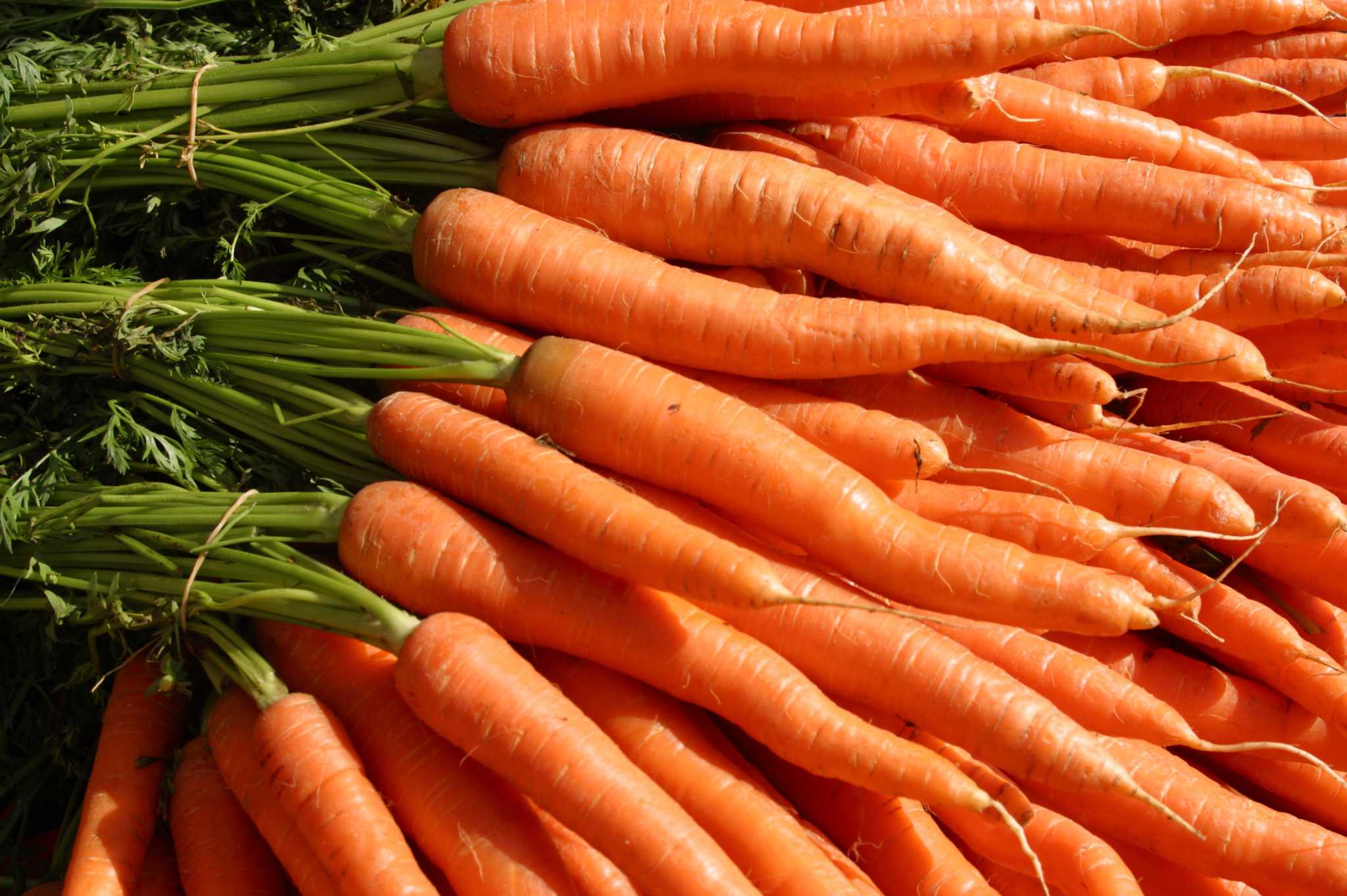 How Much Sunlight Is Needed to Grow Carrots?