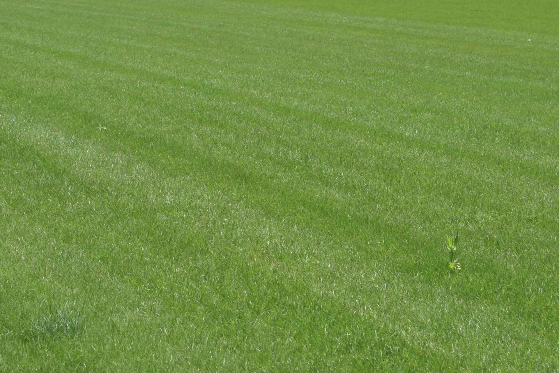 How to Purge a Husqvarna Lawn Mower Transmission