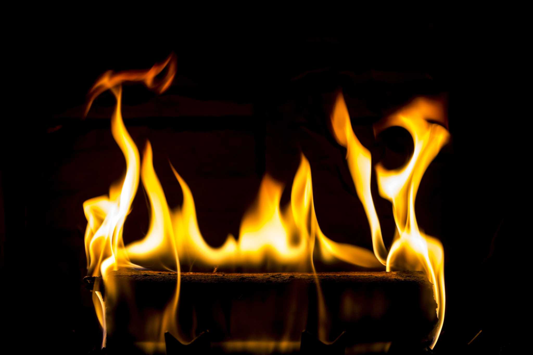 Can I Use Ash From Duraflame Logs on My Plants?