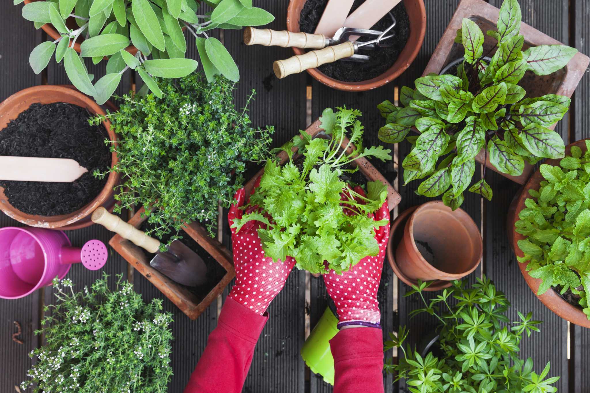 what-can-i-use-to-keep-the-drain-holes-in-a-planter-from-clogging