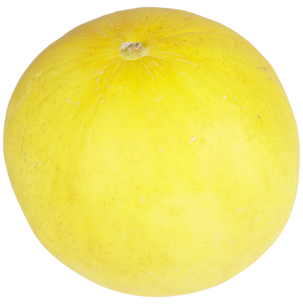 How to Grow Canary Melons