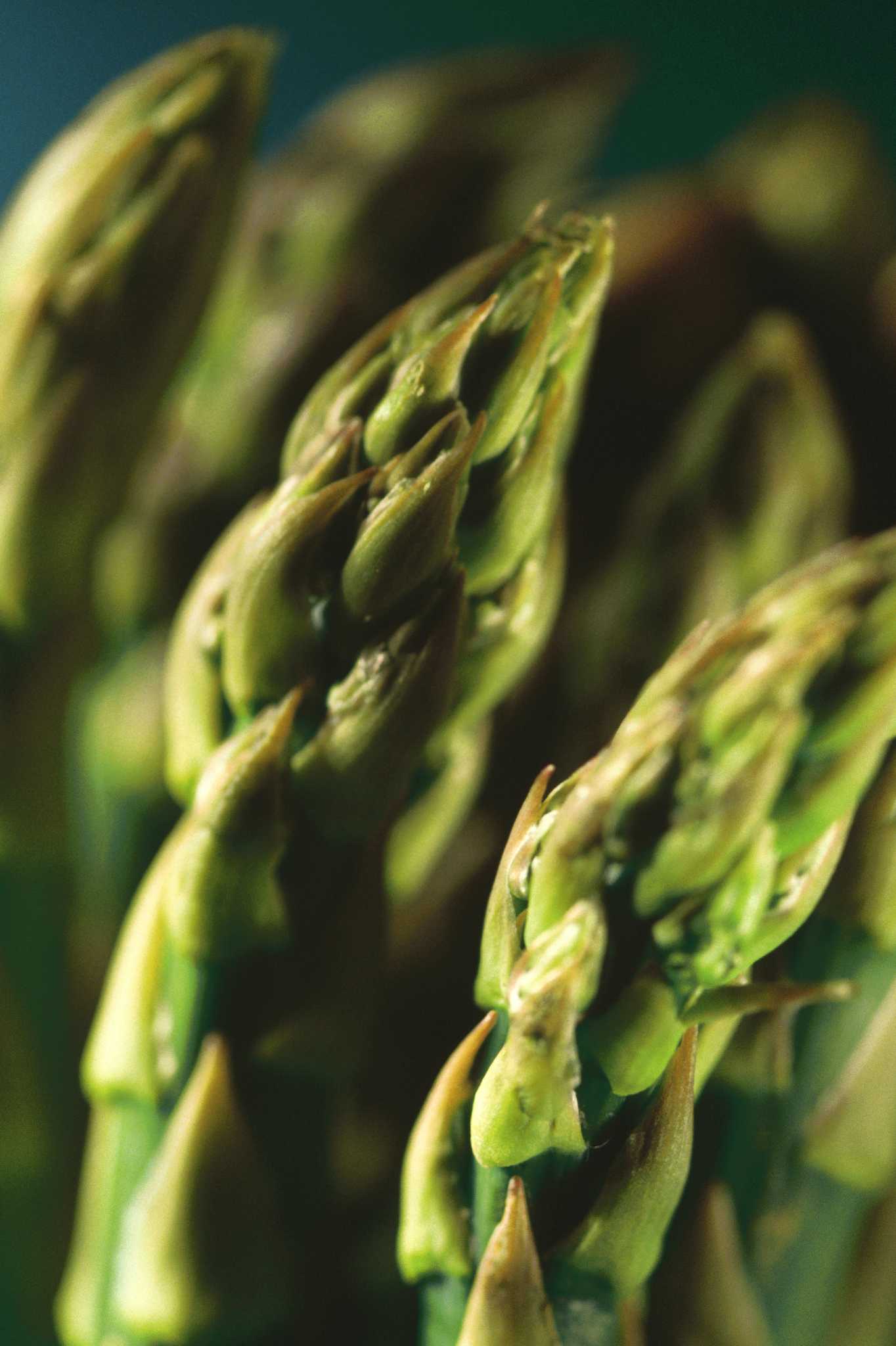 Is it OK to Put Straw Around New Asparagus Plants?