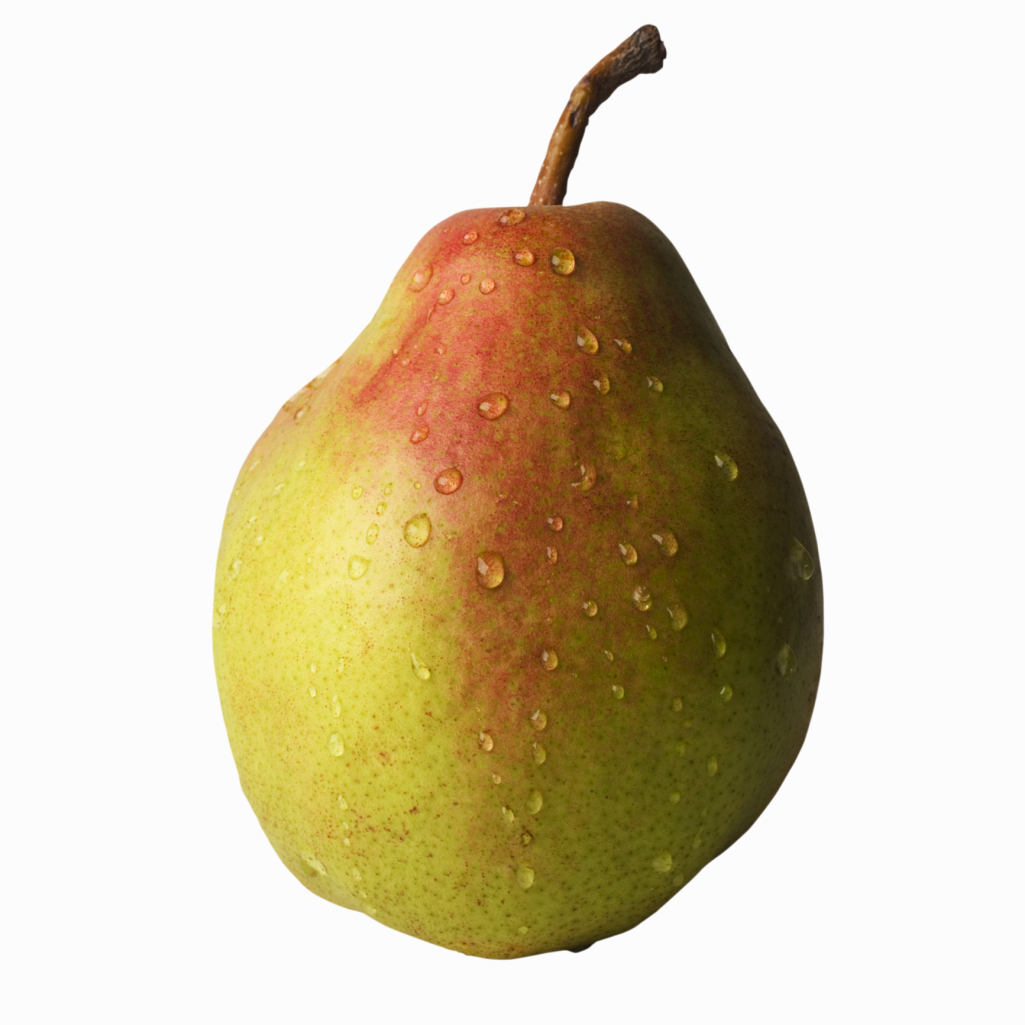 Comice Pears Showing Up in Stores - General Fruit Growing - Growing Fruit