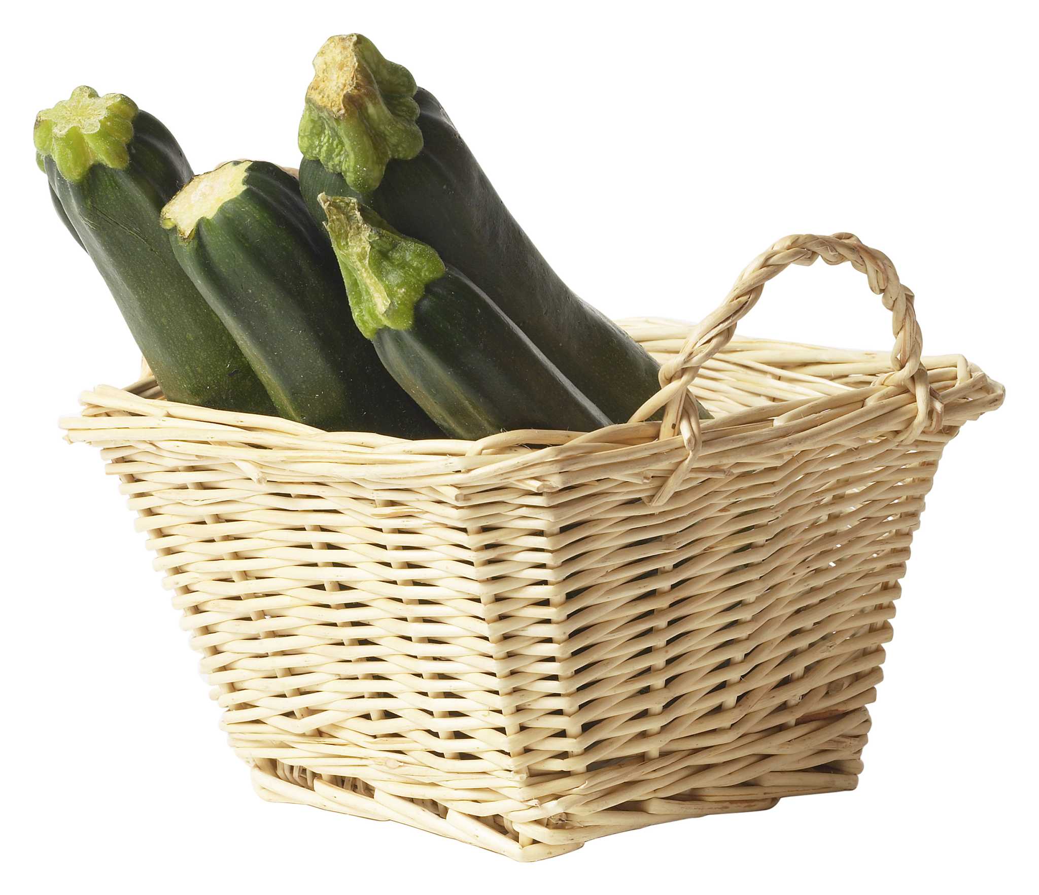 How to Grow Courgettes in Grow Bags