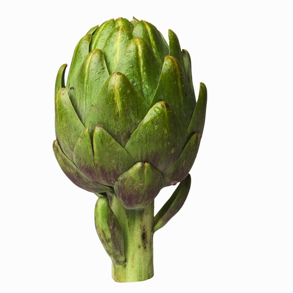 How to Care for an Artichoke Plant in Hot Climates
