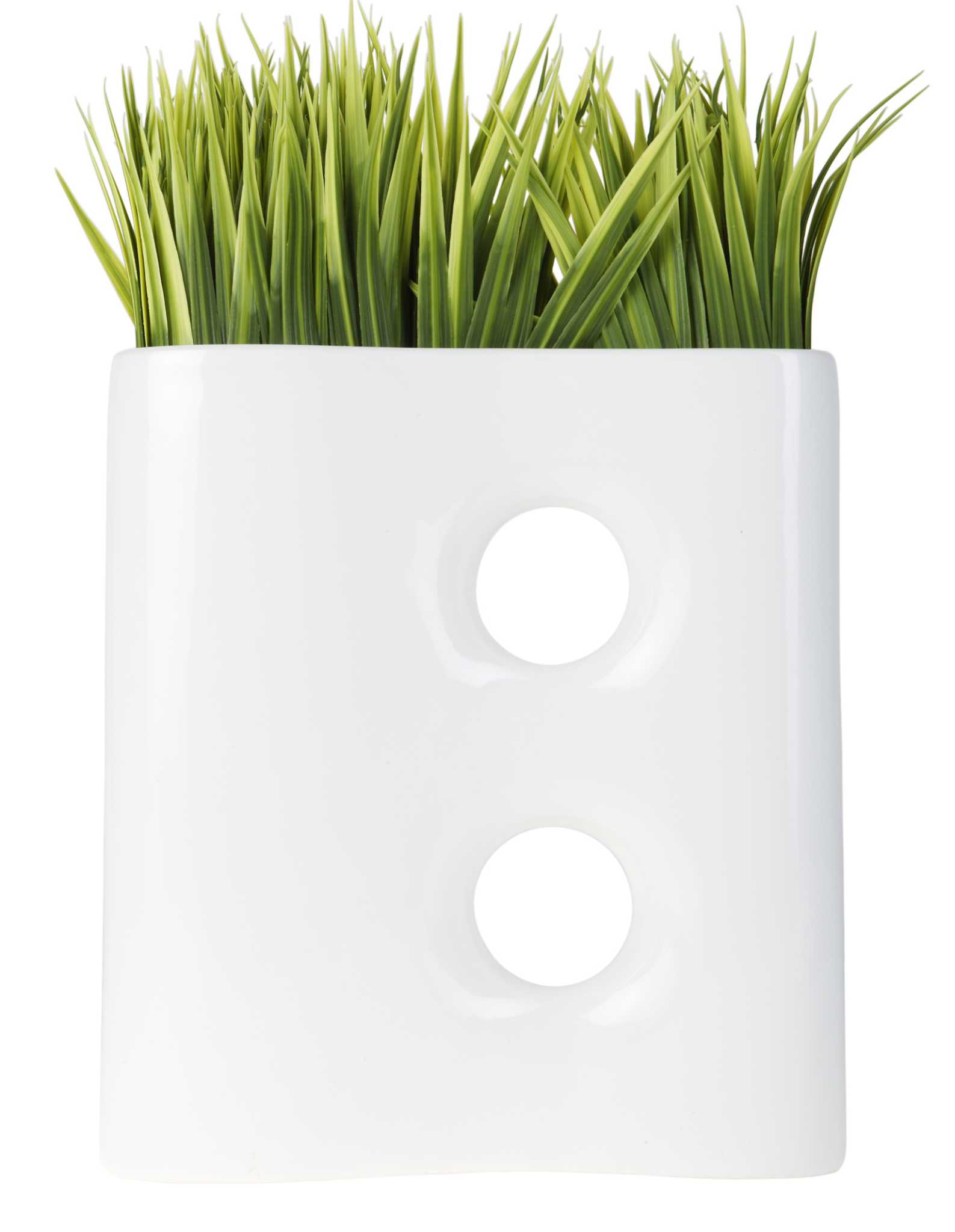 Growing Grass In A Cup - Little Bins for Little Hands