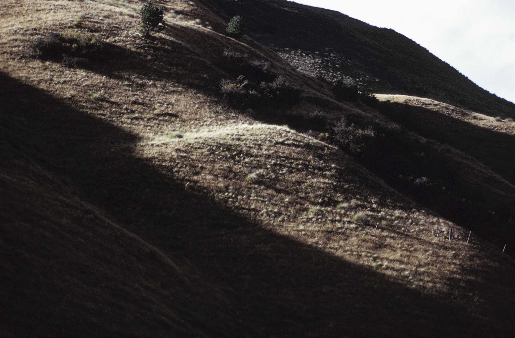 how-to-grow-grass-on-steep-hills