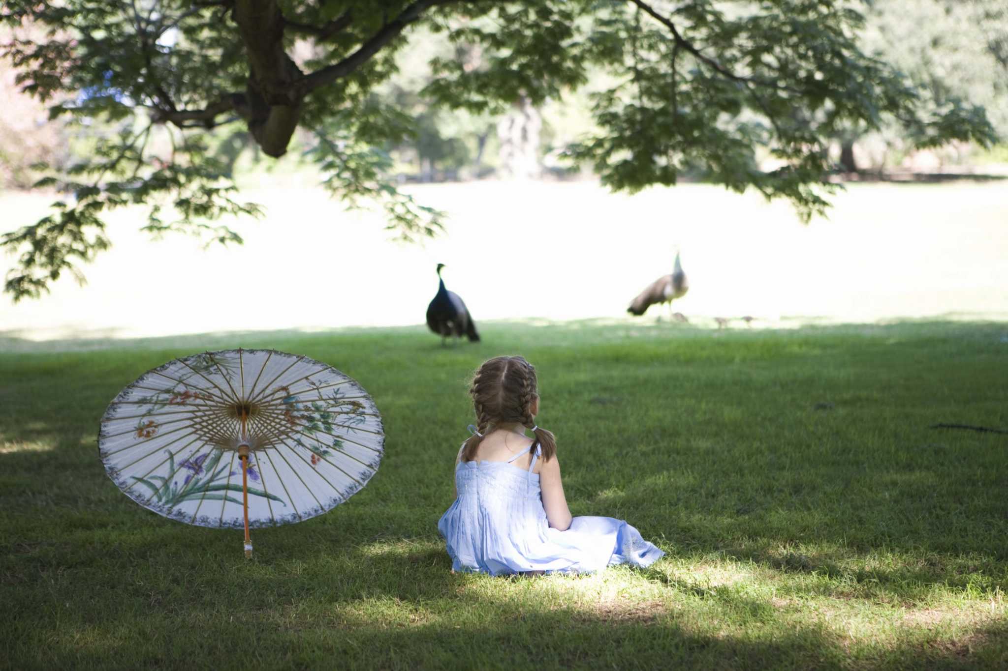 How to Grow Grass in a Wet Shaded Area