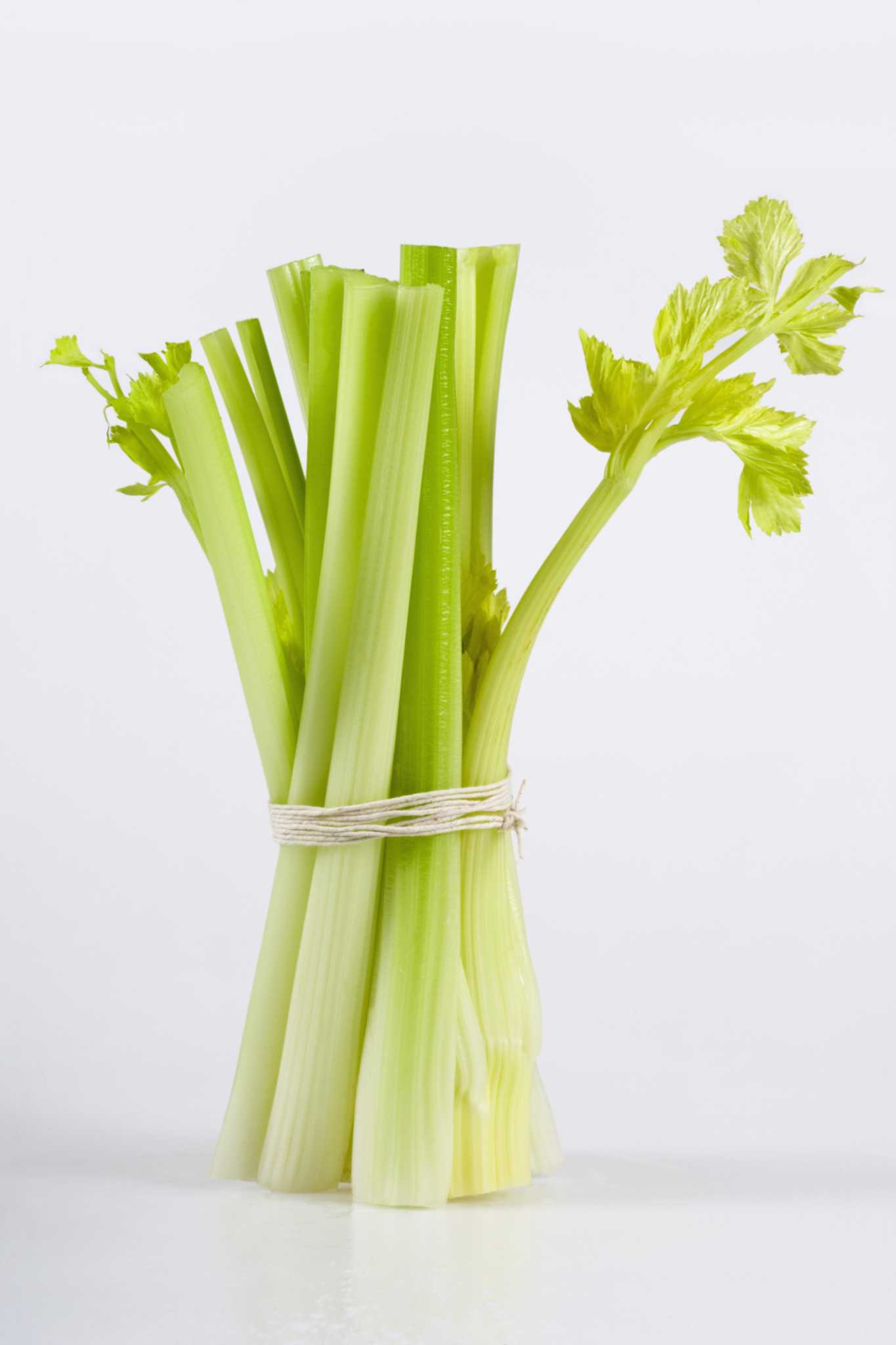 Growing Celery That's Not Bitter