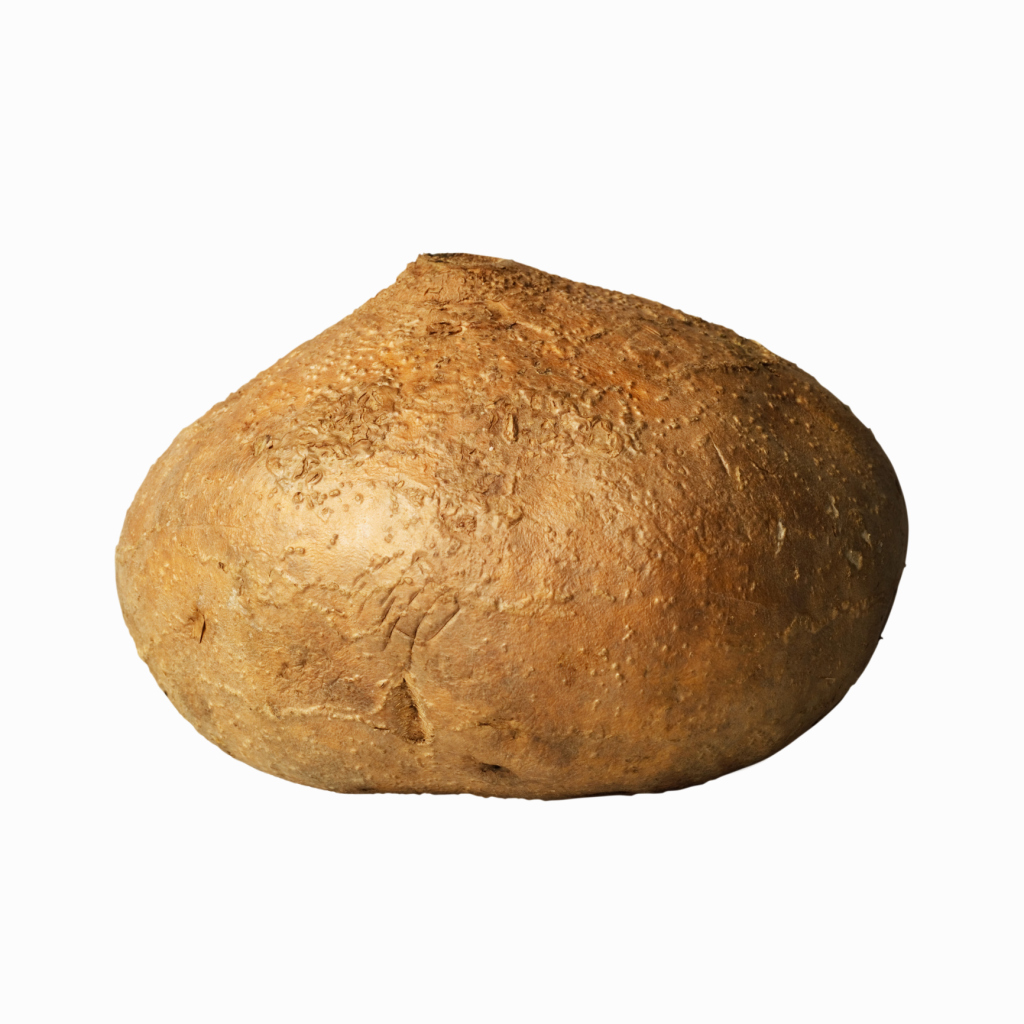 How to Grow a Jicama Plant