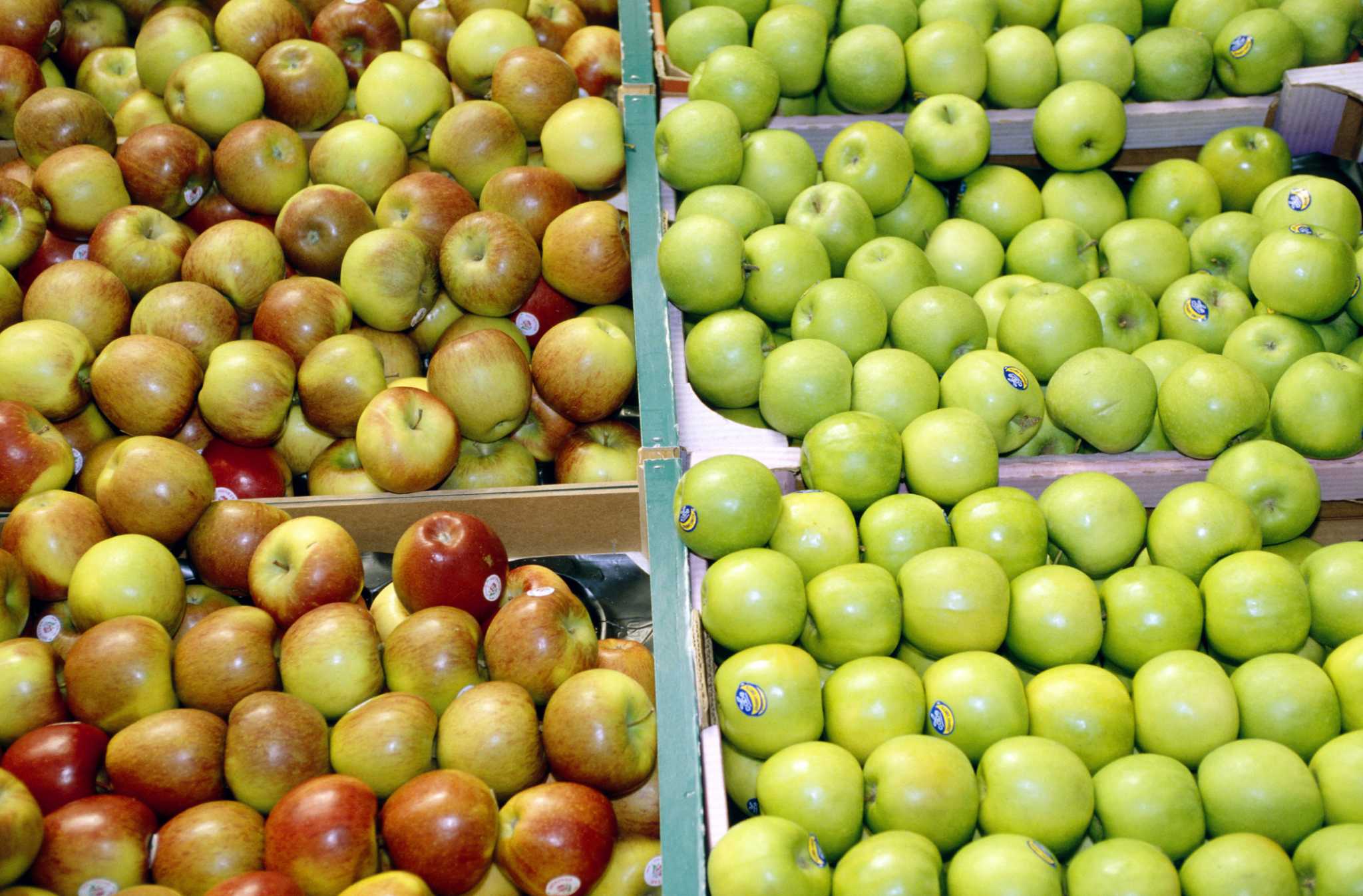 How to Grow Jonagold