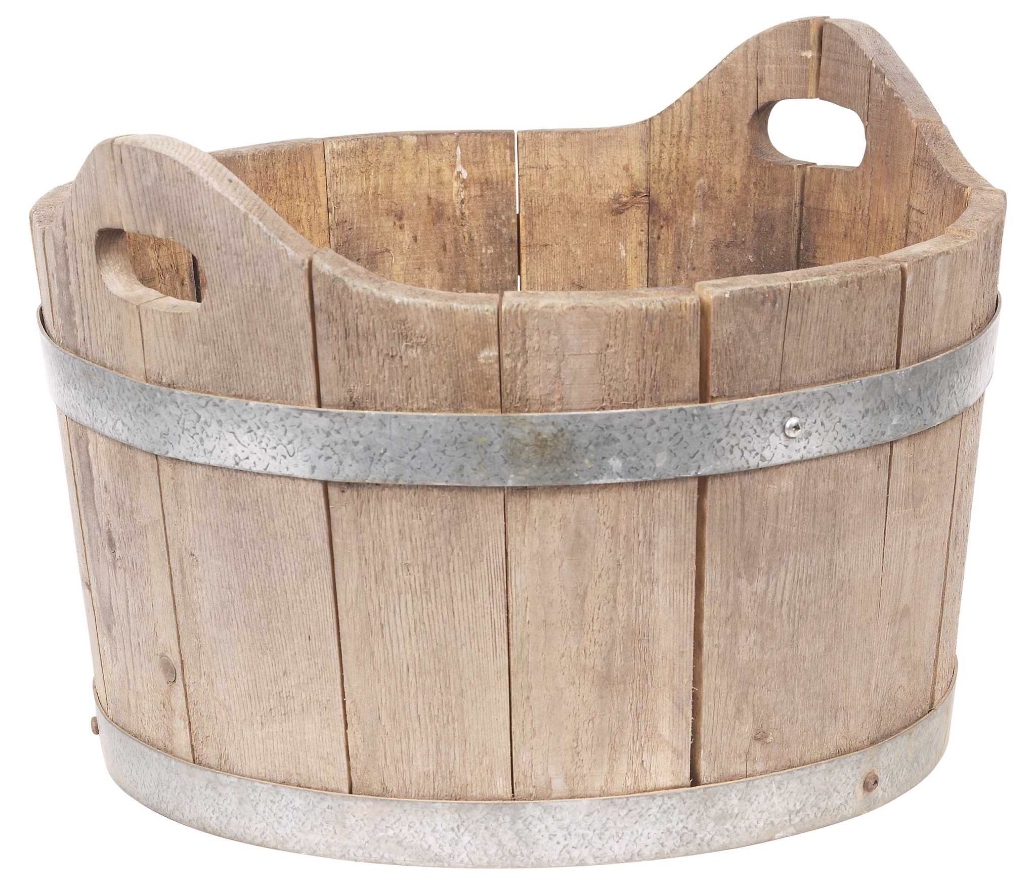 How to Grow a Jujube Tree in a Container