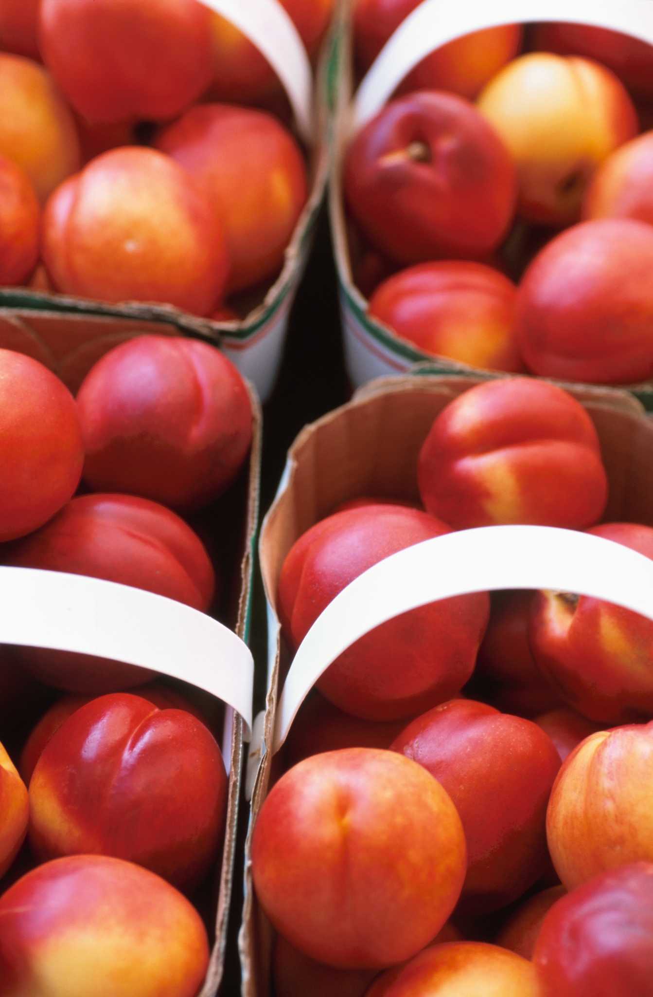 Nectarine Trees Not Producing FullSize Fruit