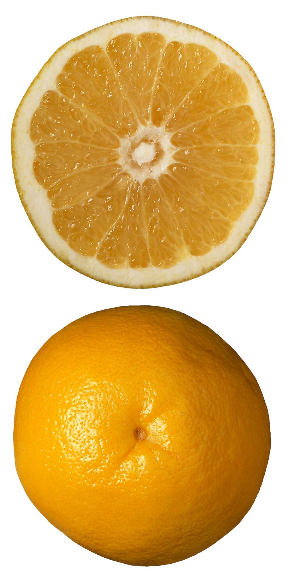 How to Grow Oro Blanco Grapefruits