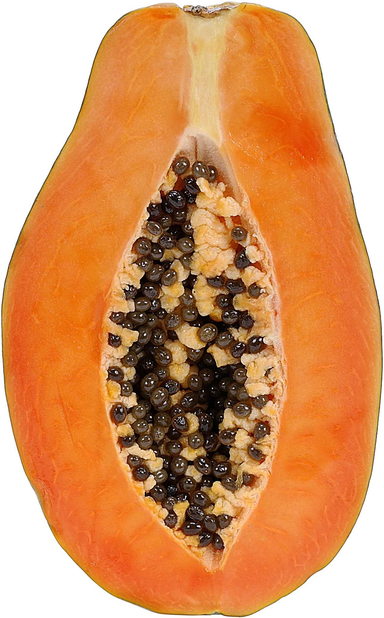 How to Grow Papaya From Fruit