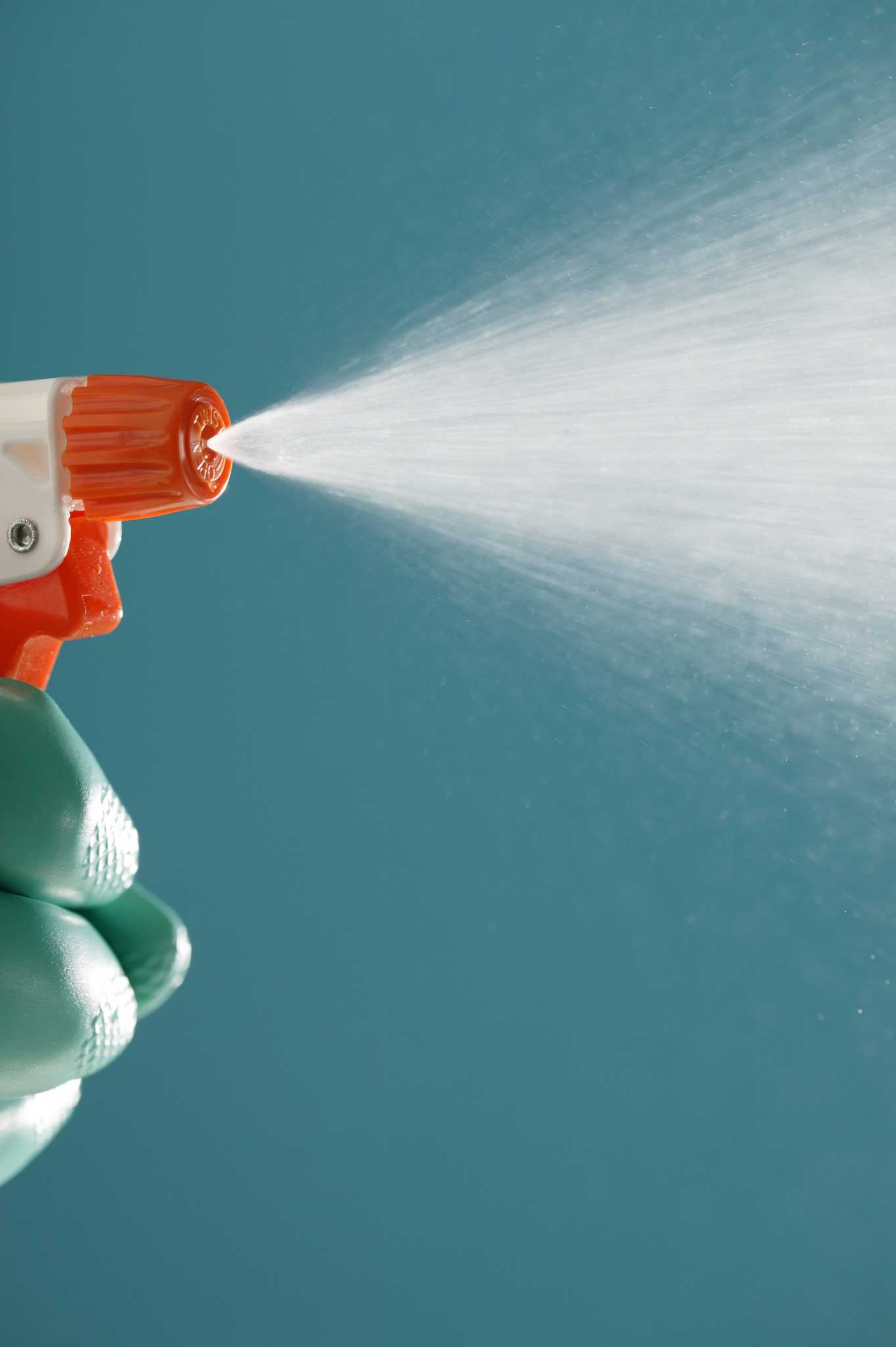 Castile Soap Spray for Plants