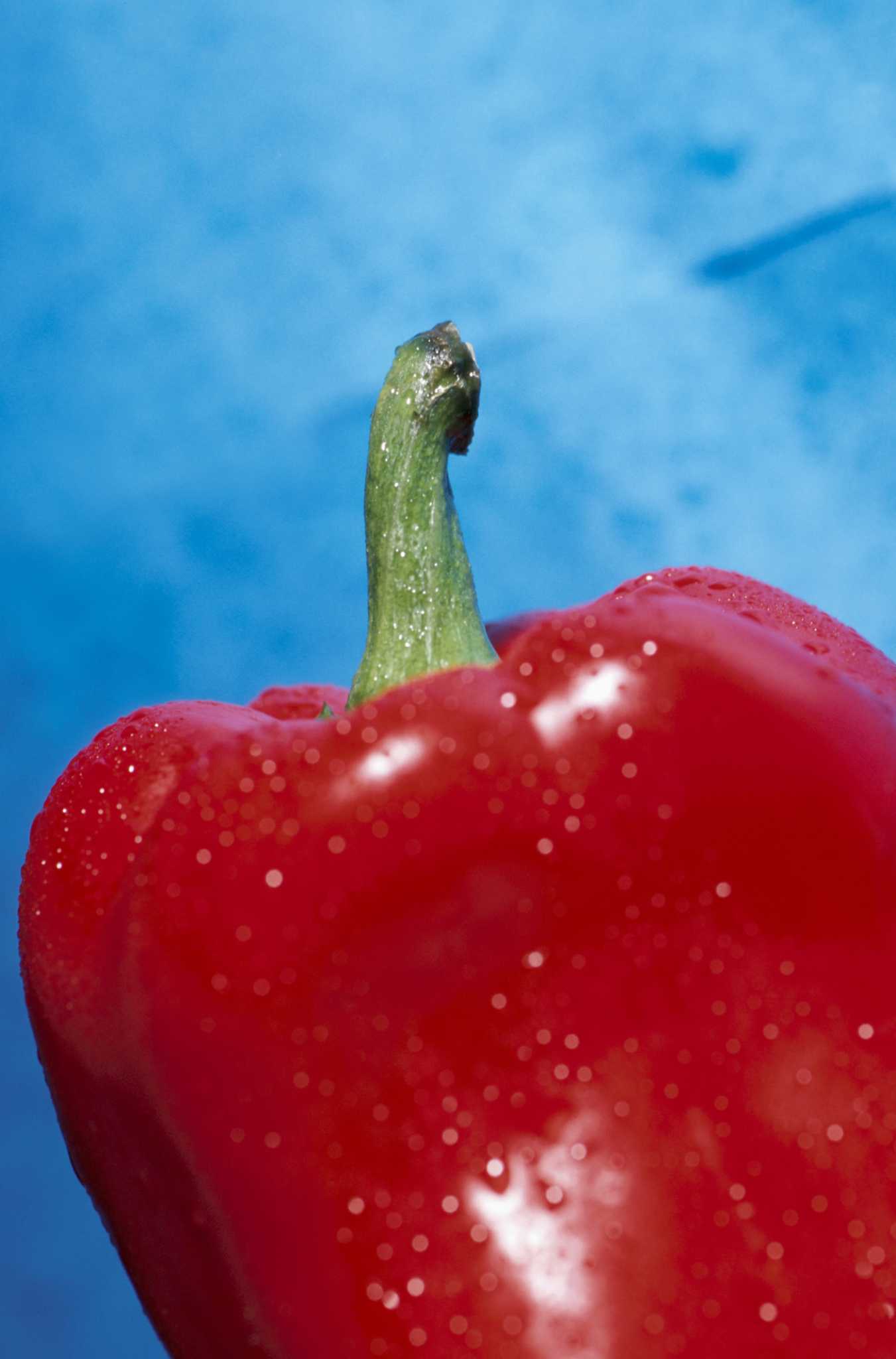 How to Grow Red Bell Peppers Indoors