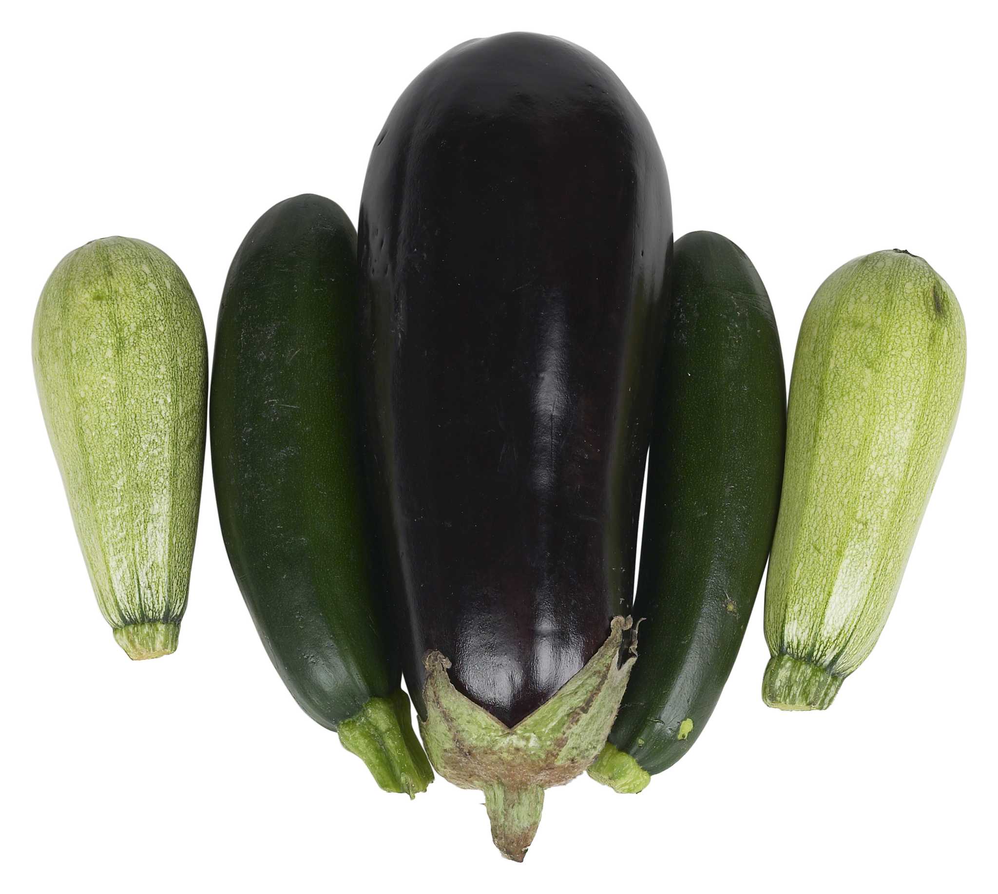 How to Grow Squash & Eggplant