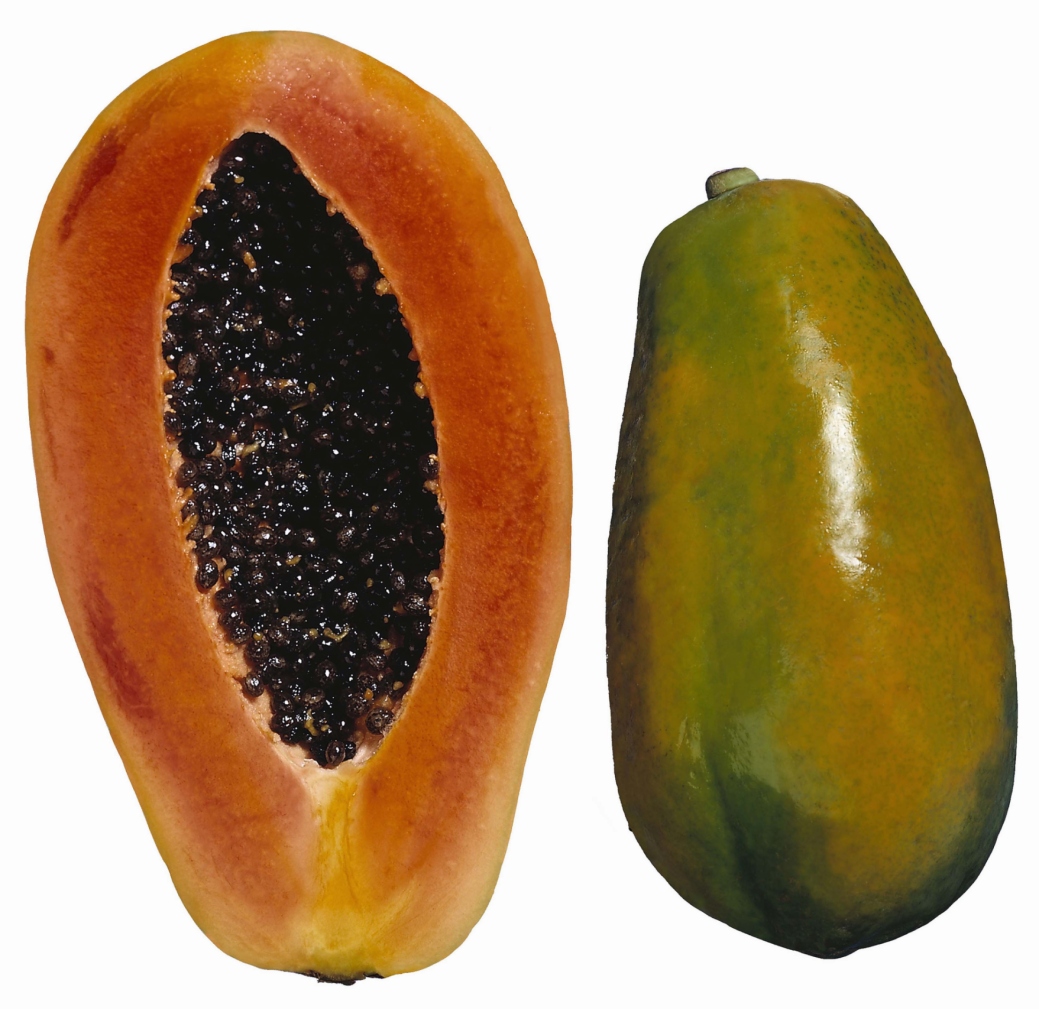 What Are the Causes of Fruit Drop in Papayas?