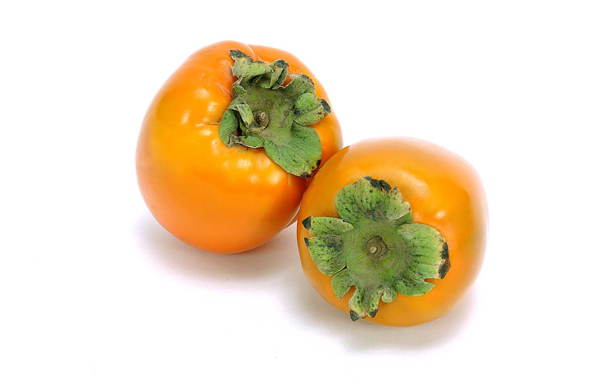 Growth Habits of the Fuyu Persimmon