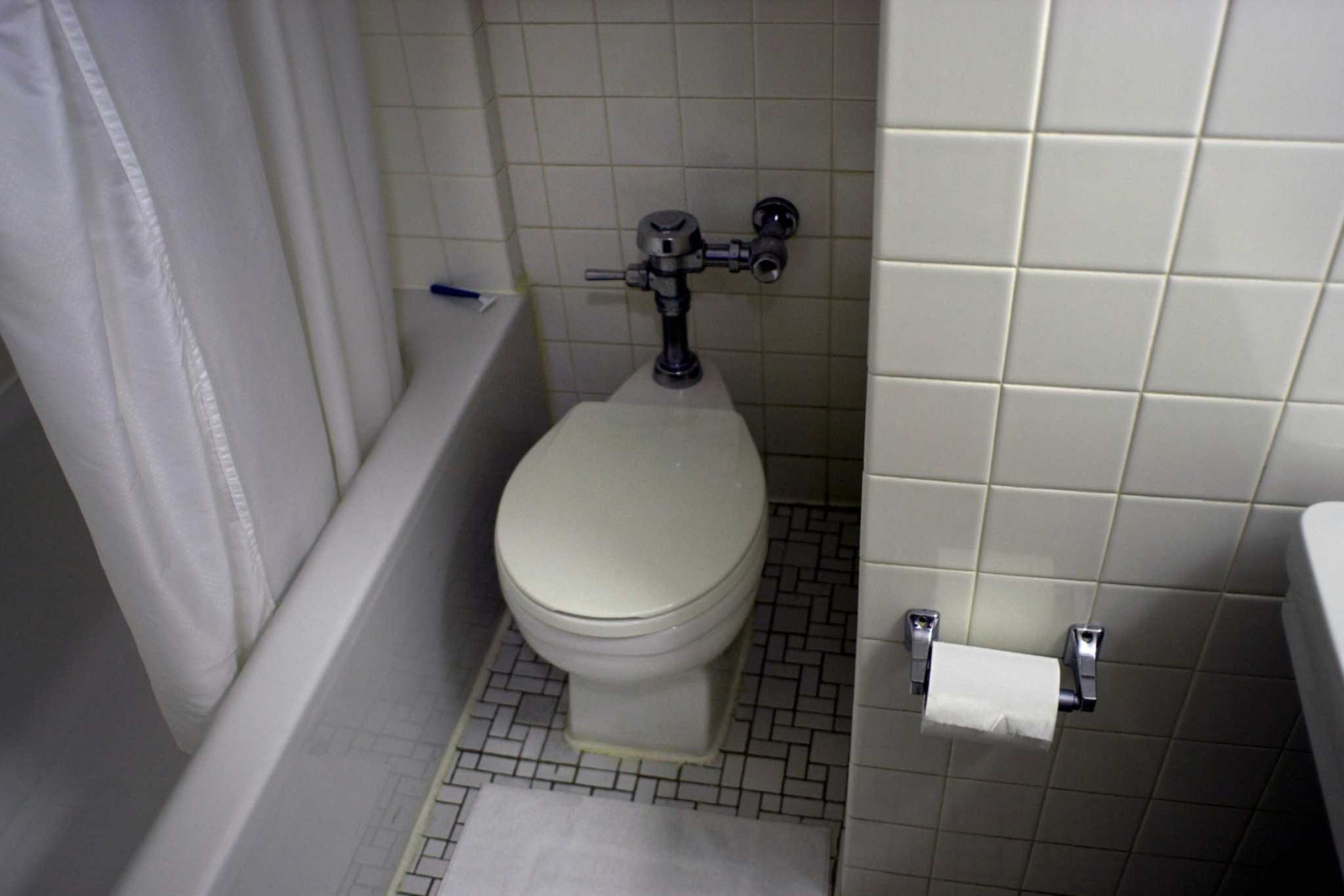 Clogged Toilets Fact vs. Fiction: The Best Way to Unclog a Toilet -  FloHawks Plumbing + Septic