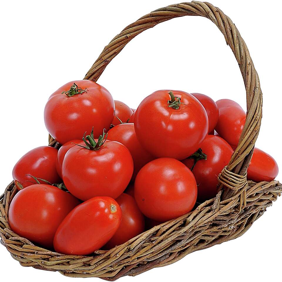 How to Grow Tomatoes in Straw Bales