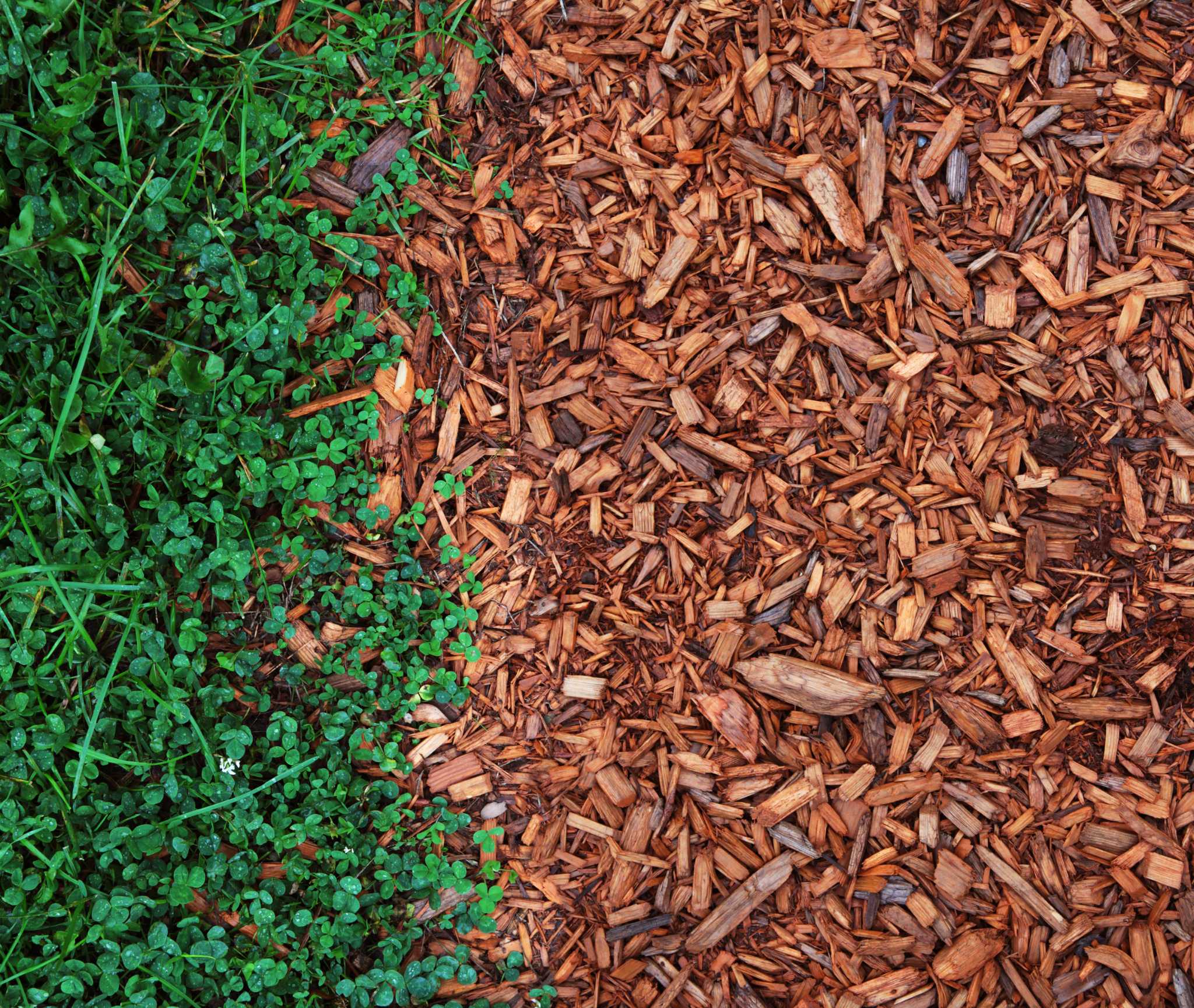 is-cedar-mulch-good-for-gardens