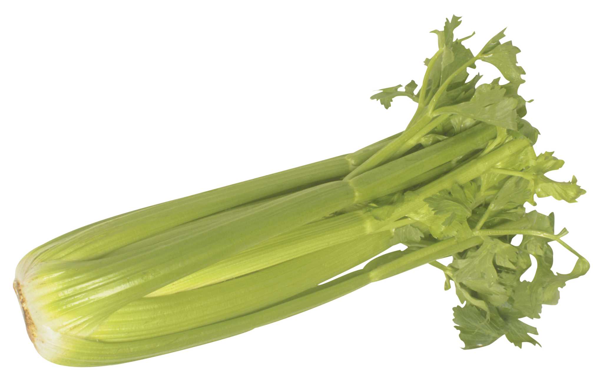 Does Celery Grow Underground or Above Ground?