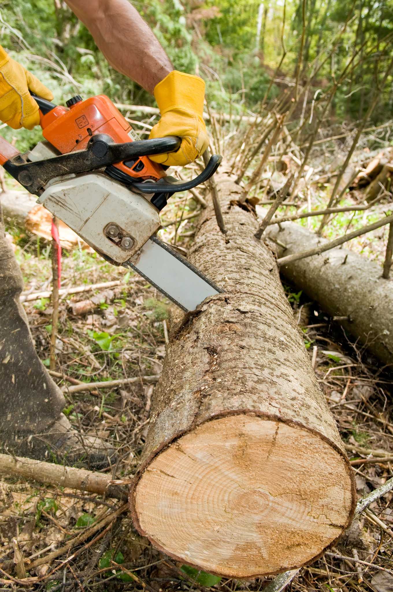 Stihl MS 280 Chainsaw Review - Should You Buy One?