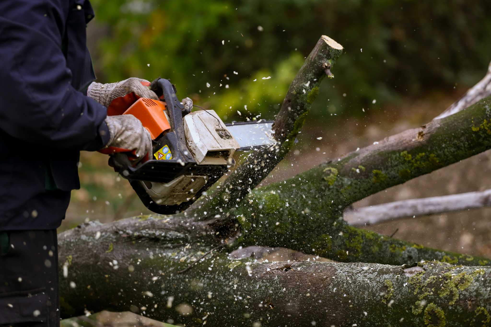 Chainsaw Bar Oil Alternative