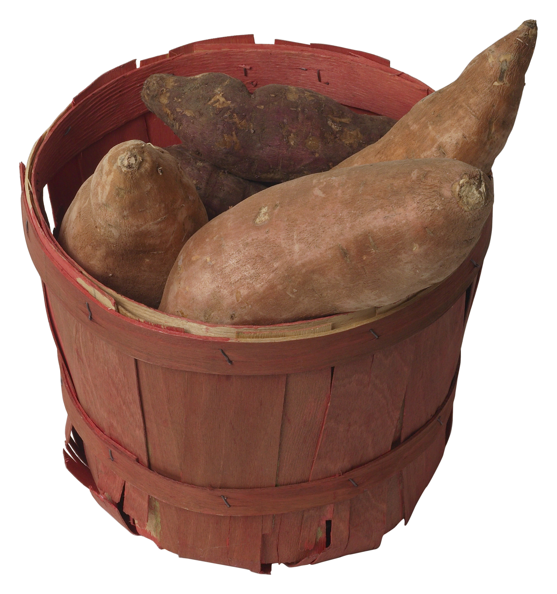 how-to-grow-yams-in-containers