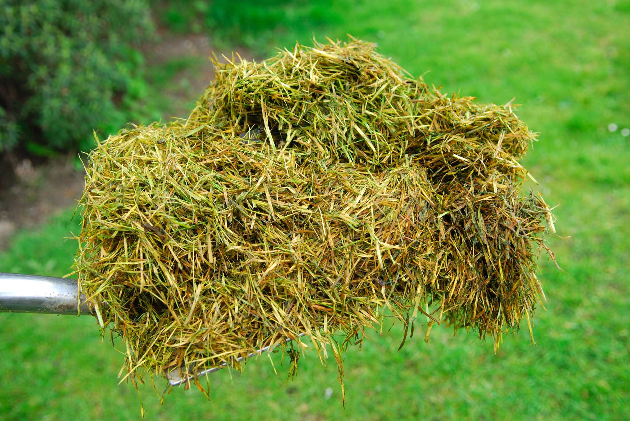 How to Handle a Large Quantity of Grass Clippings