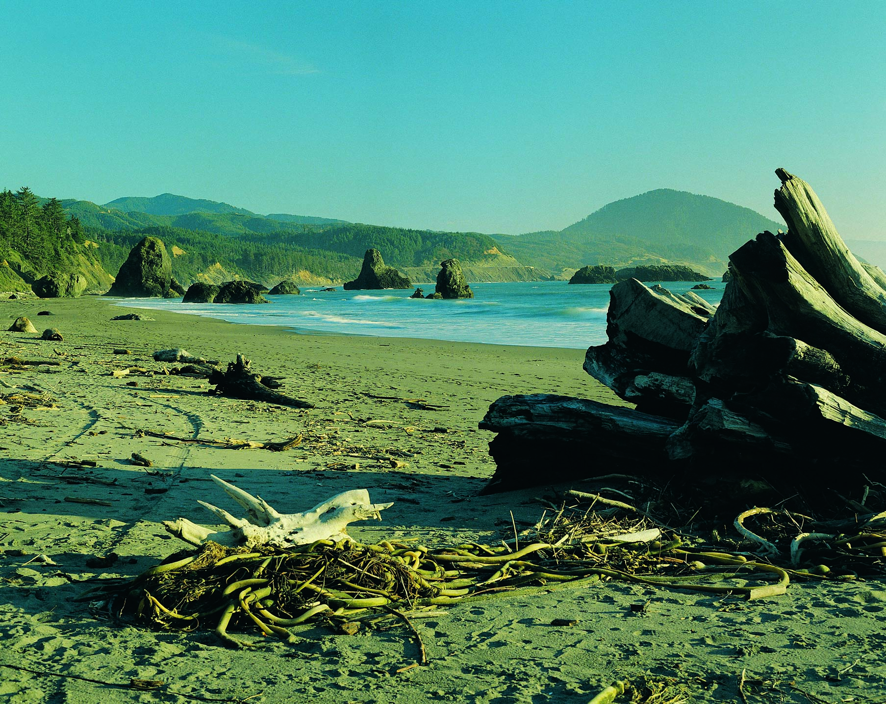 How to Hang Driftwood
