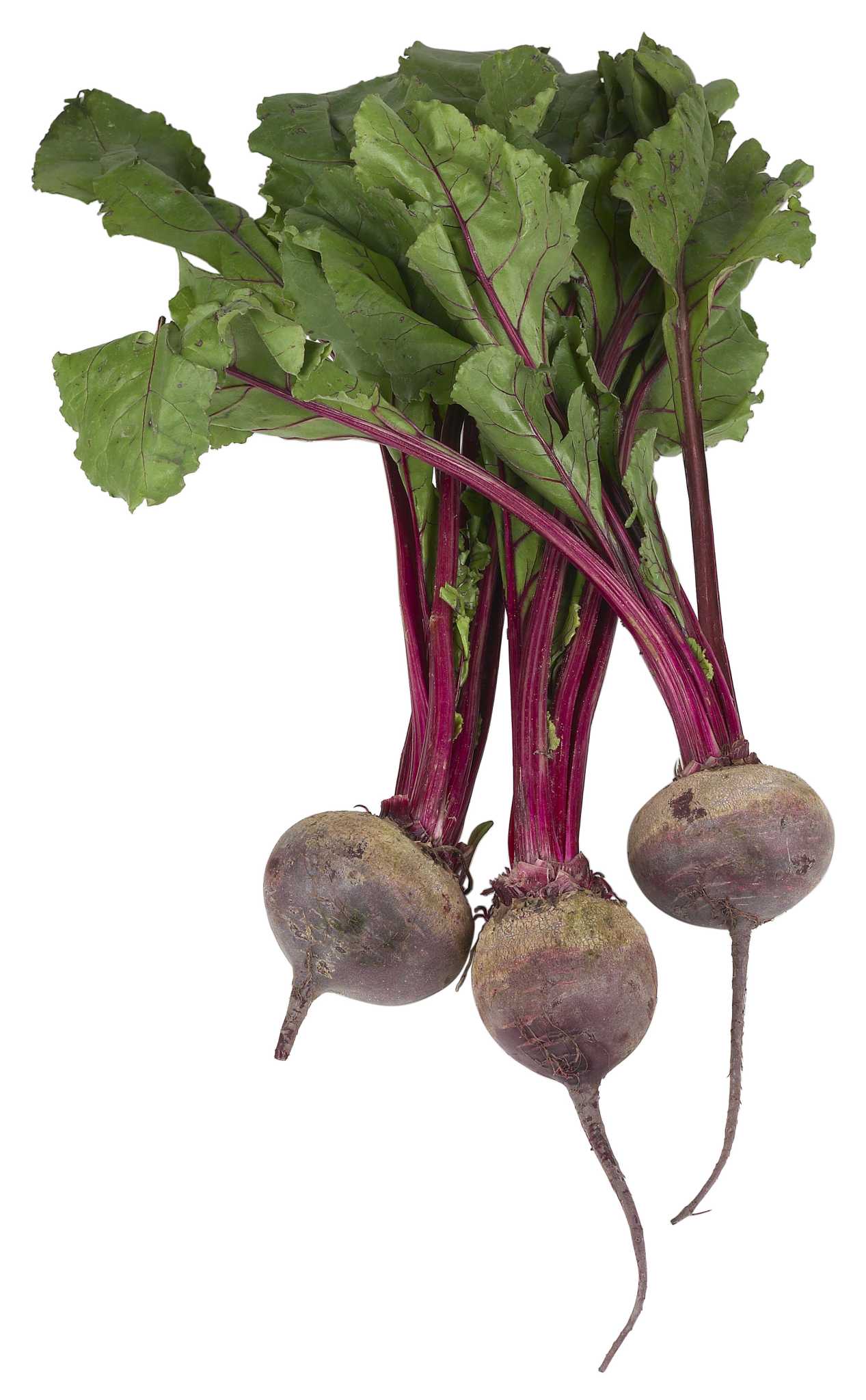 Beet Root Side Effects