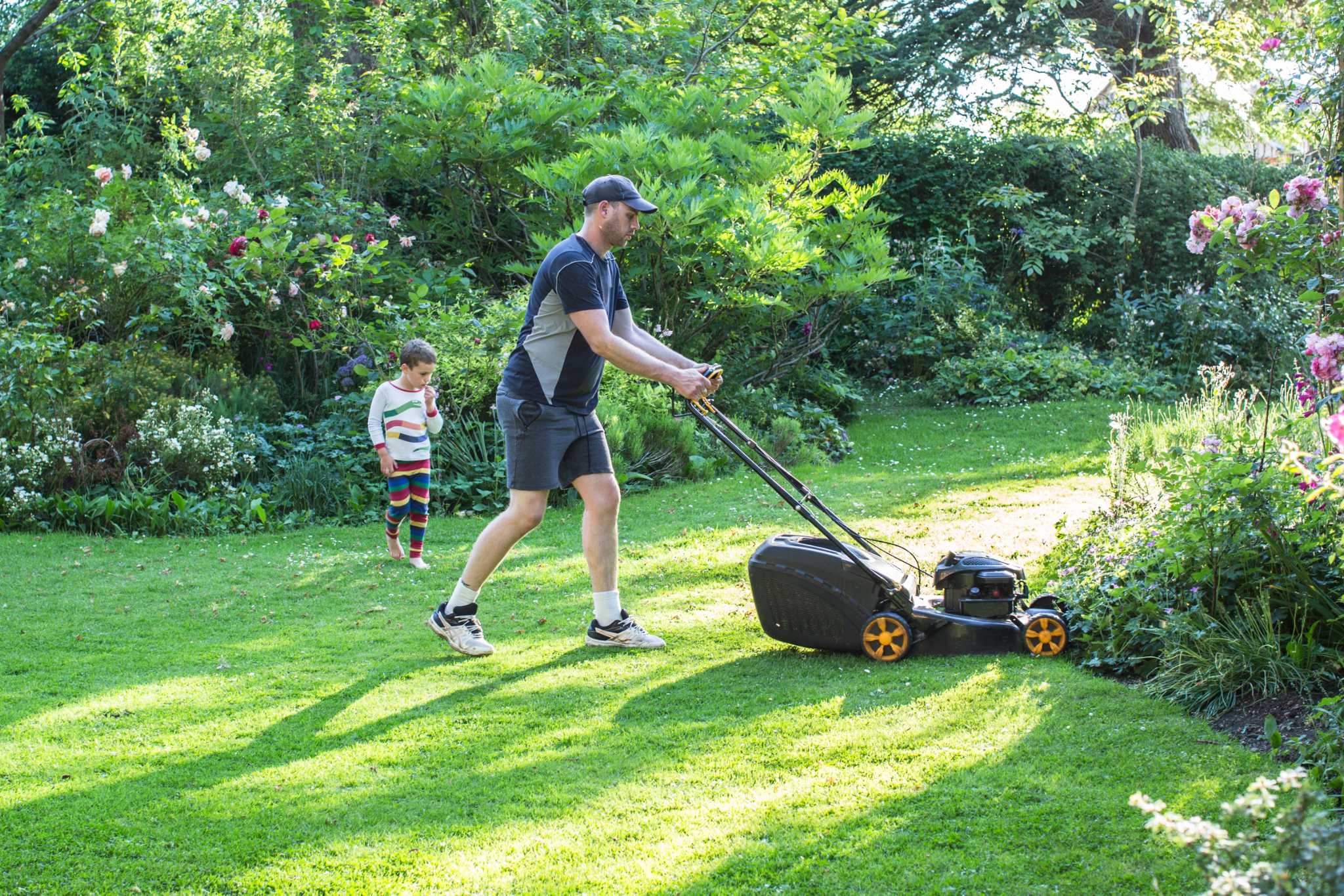 What Happens if You Let Your Grass Grow Too Long?