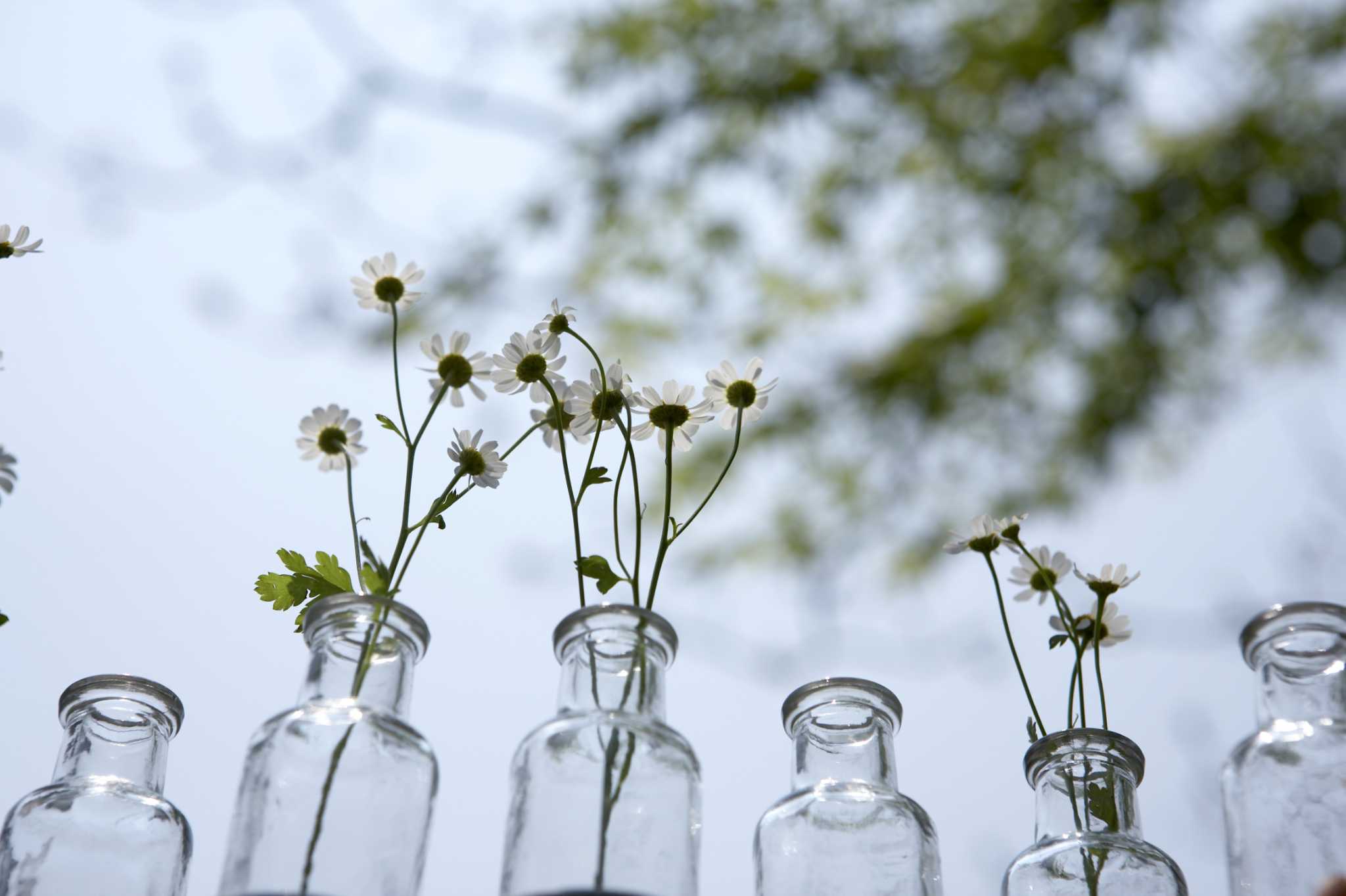 How to Get Hard Water Stains From the Inside of Glass Vase