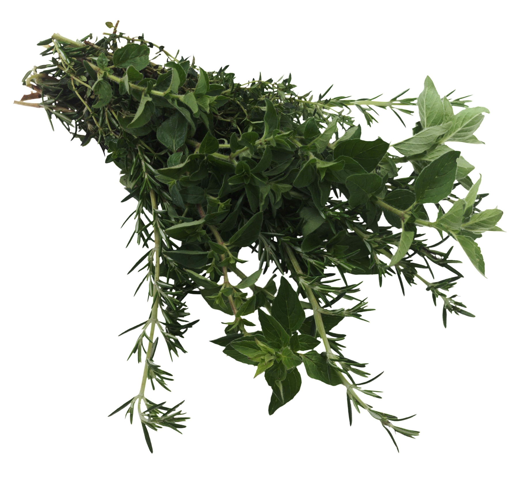 Herbs That Don't Like Being Planted Together