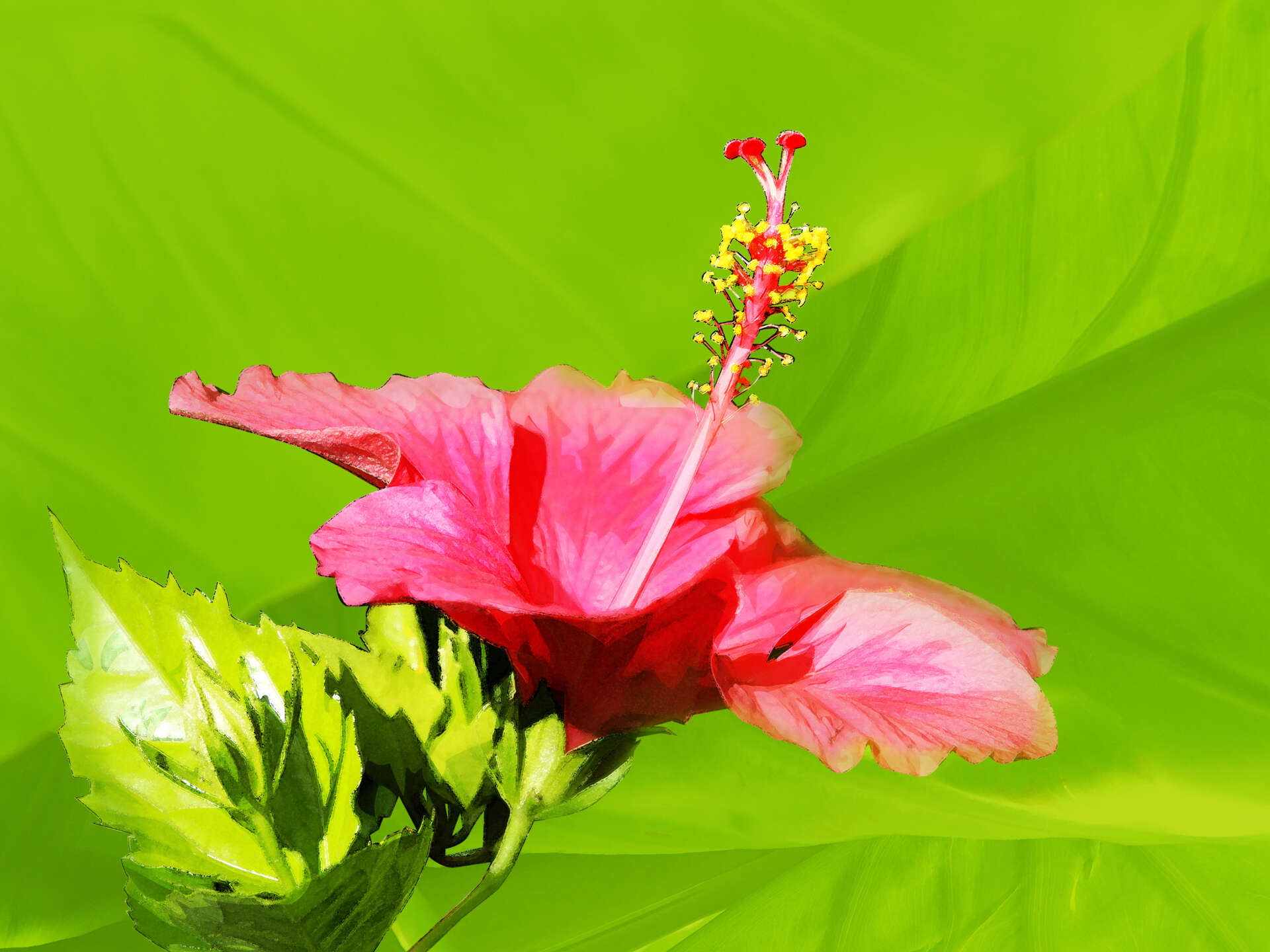 aesthetic plants stickers planting aesthetic sticker sheet main image 0