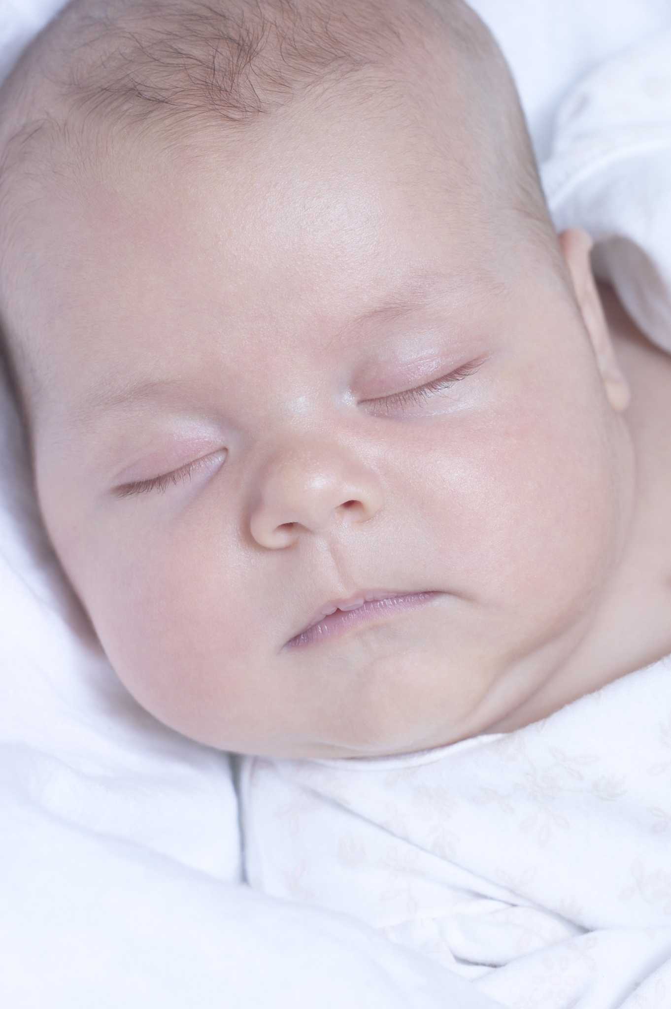 The Development of Fetal Organs Biology Diagrams