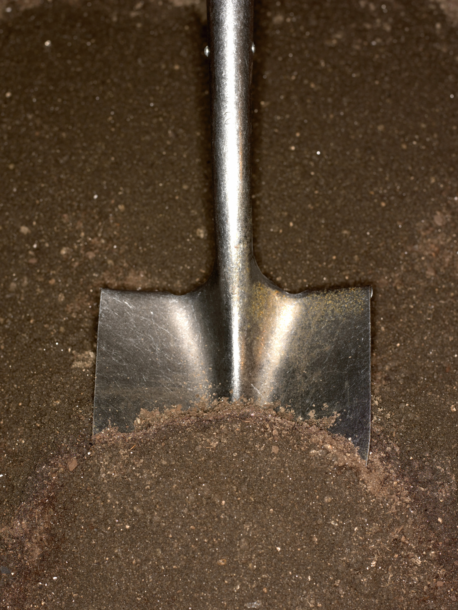 How to Plant a Vegetable Garden in Sandy Soil