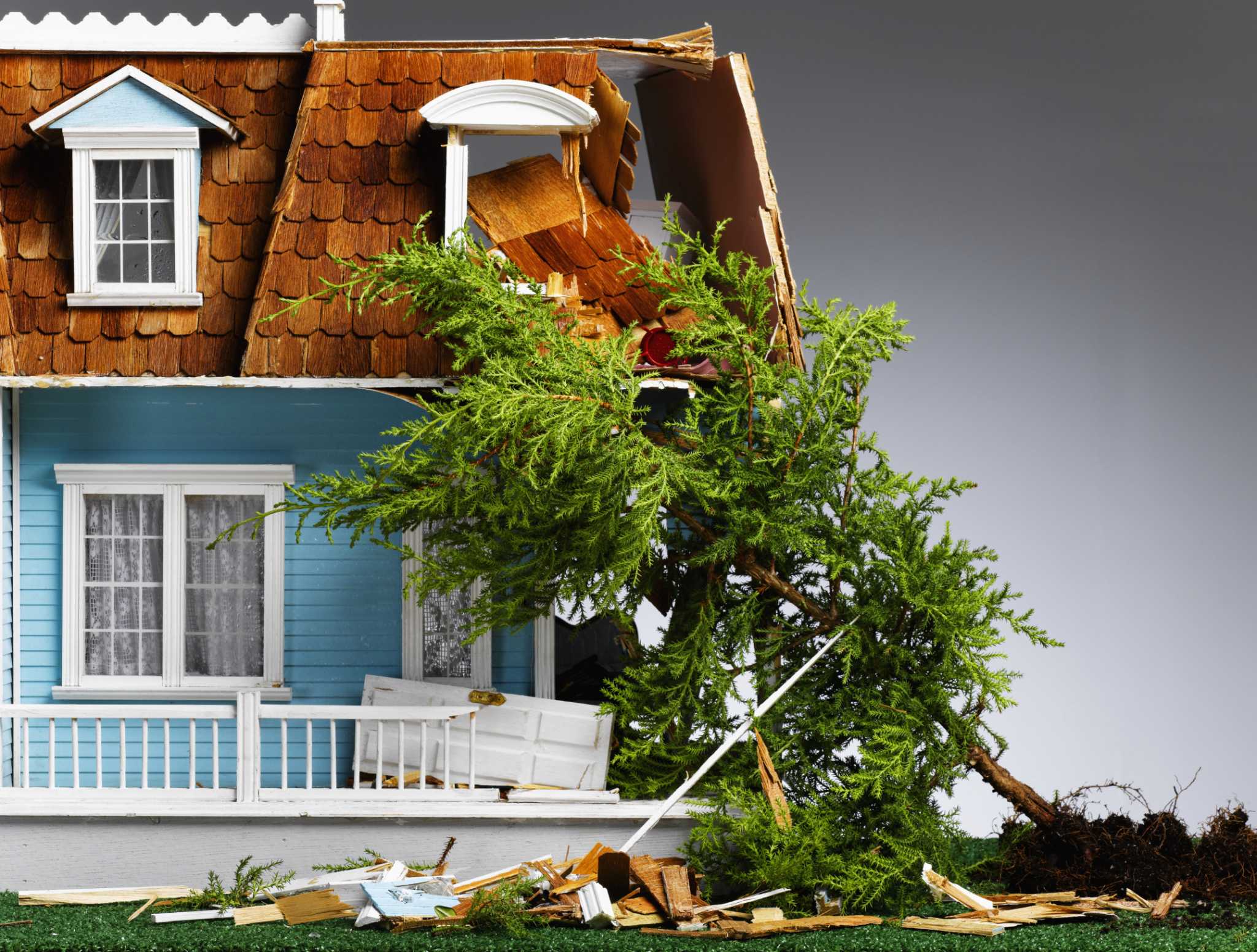 does-homeowners-insurance-cover-damage-from-falling-tree-limbs