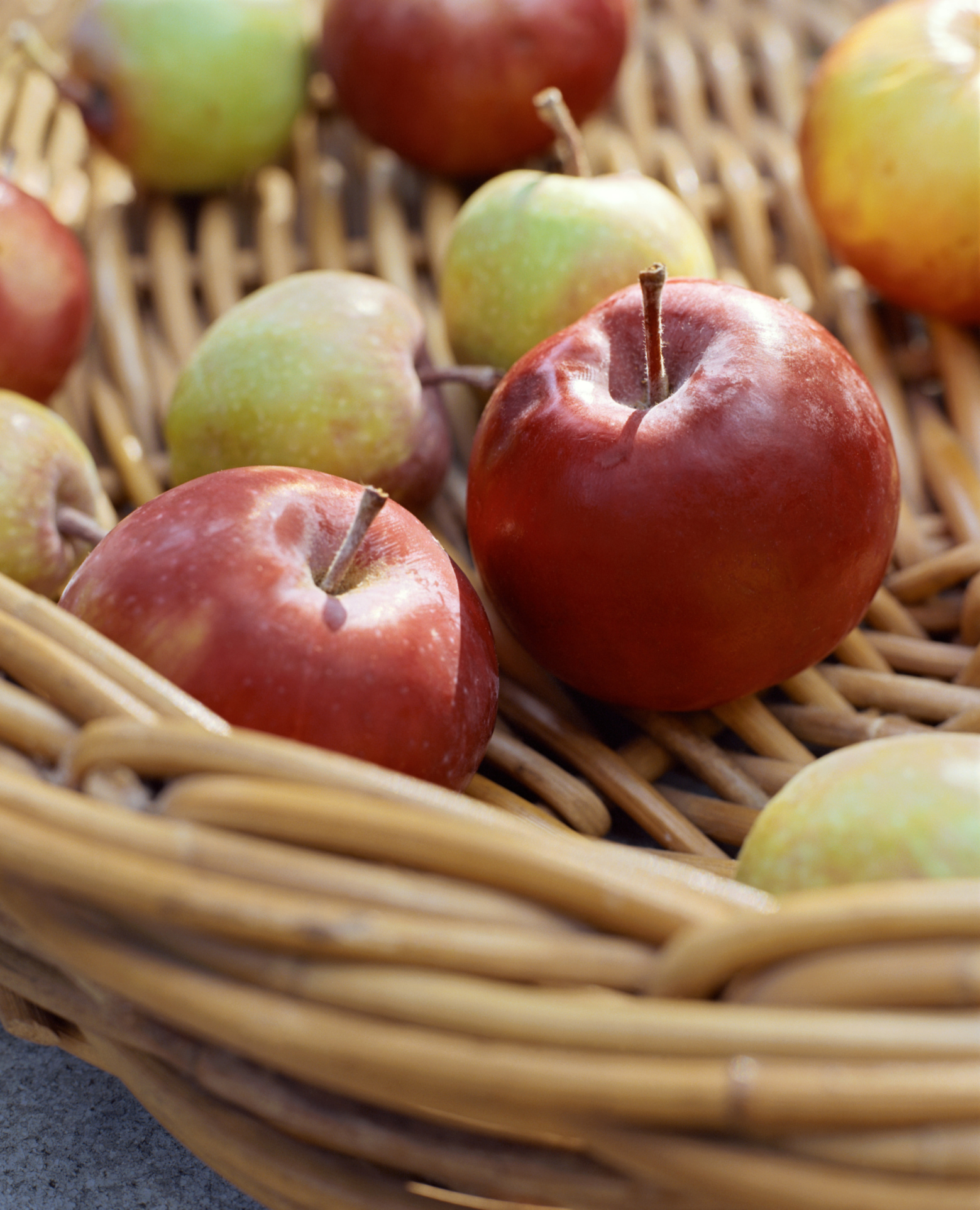 Honey Crisp Apple Tree Care